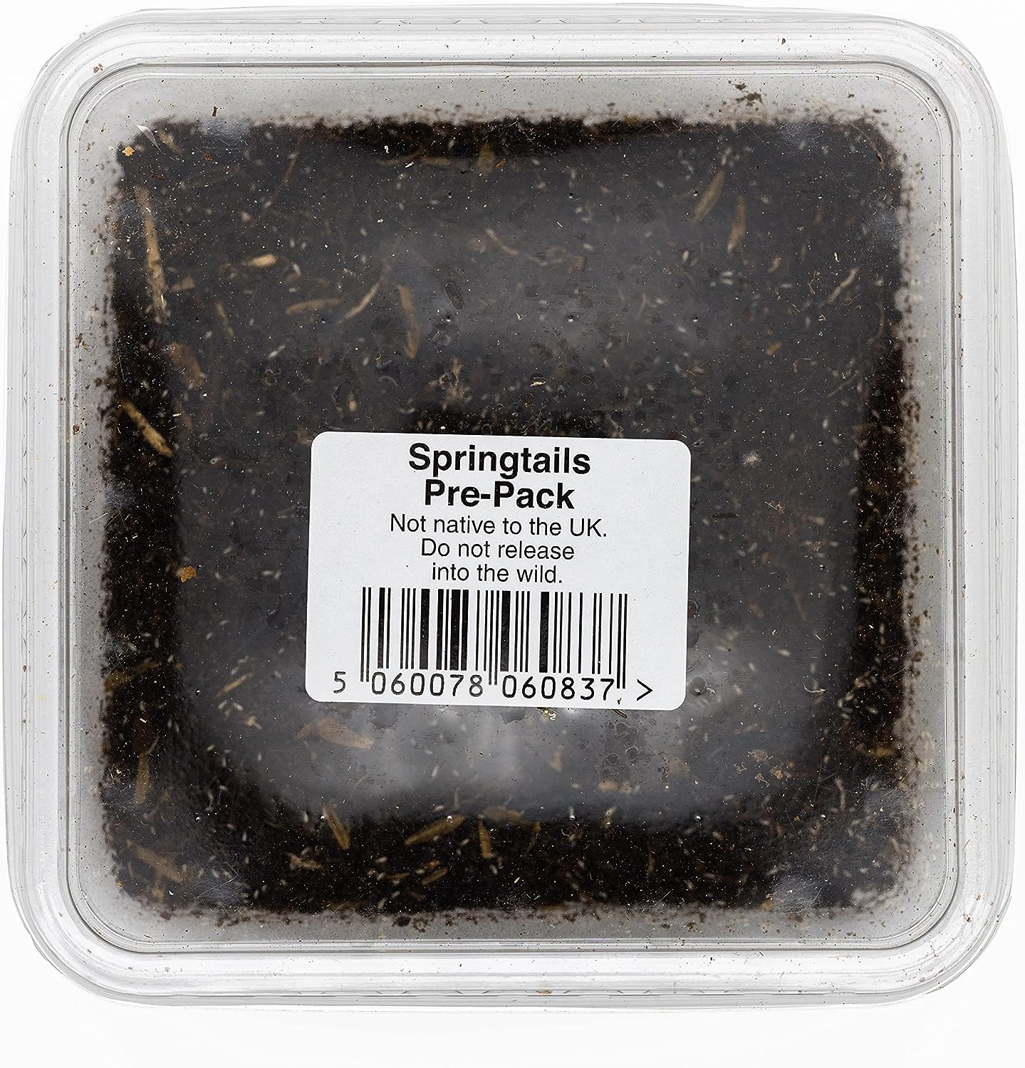 DSPetSupplies Springtails Pre-Pack - Reptile Live Food