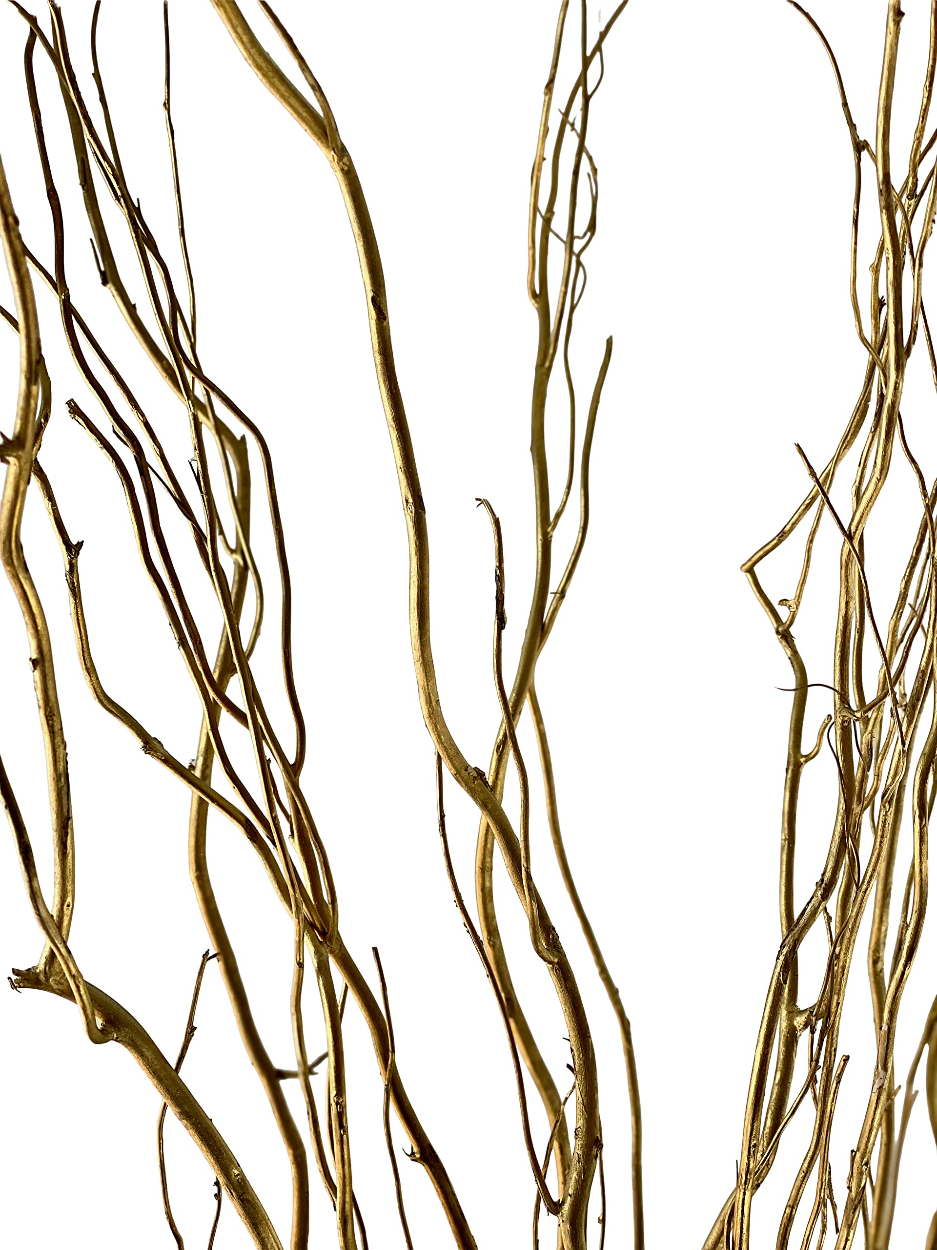 green floral crafts | 12 stem dried curly willow branches 3-4 feet tall - perfect home decoration and floor vase filler (metallic gold)