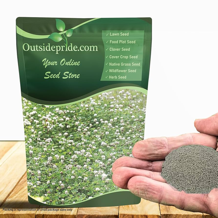 Clover　Line　 Clover day's $_1.JPG?set_id=880000500F