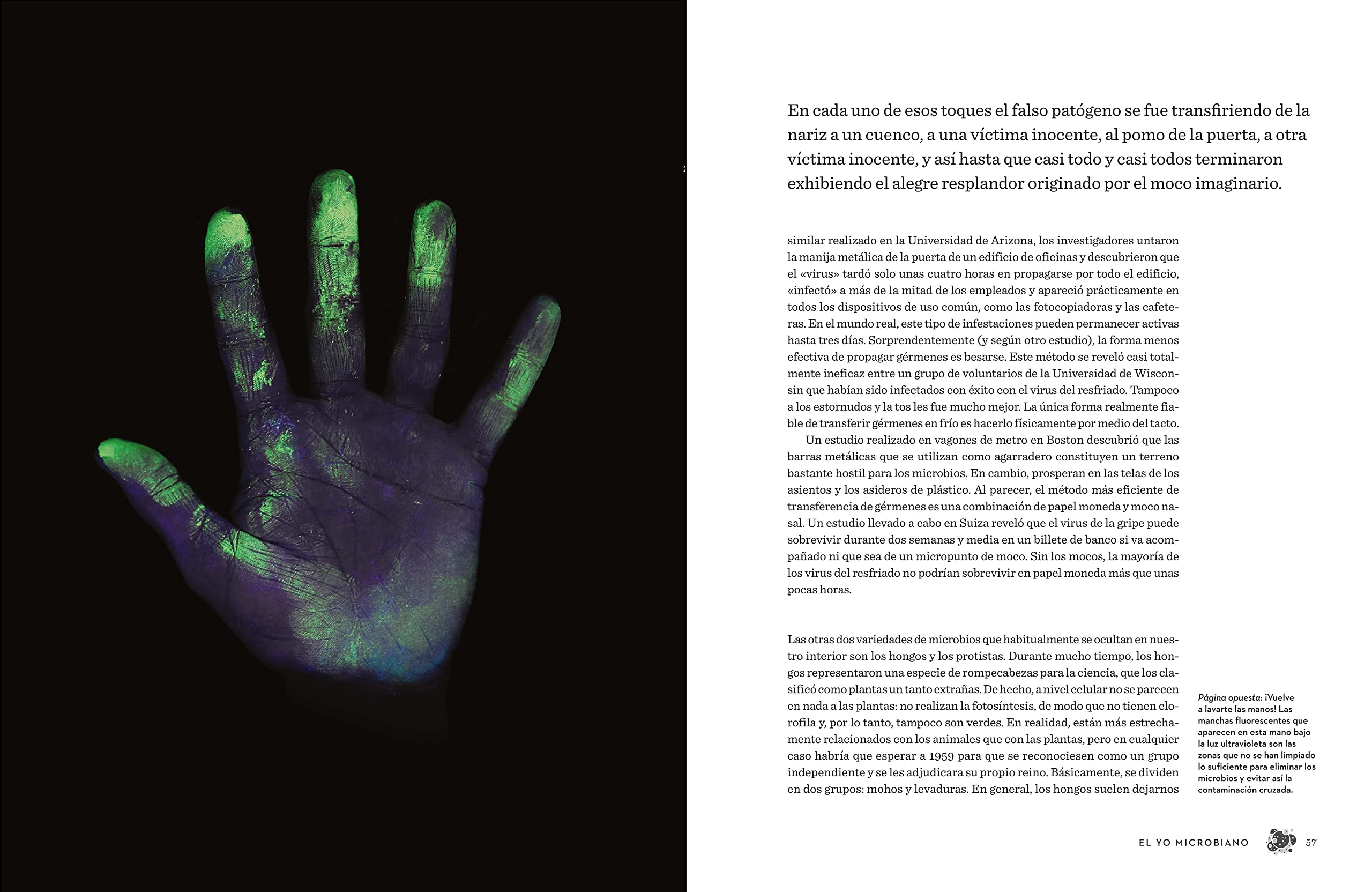 El cuerpo humano (edición ilustrada): Una guía para ocupantes (Divulgación)