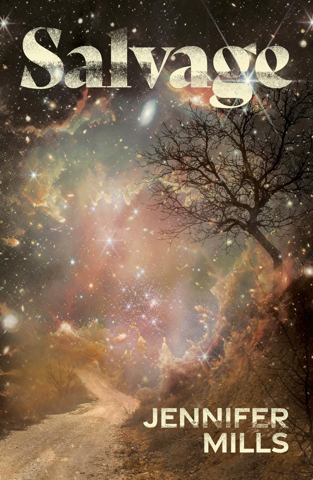 Salvage - Jennifer Mills