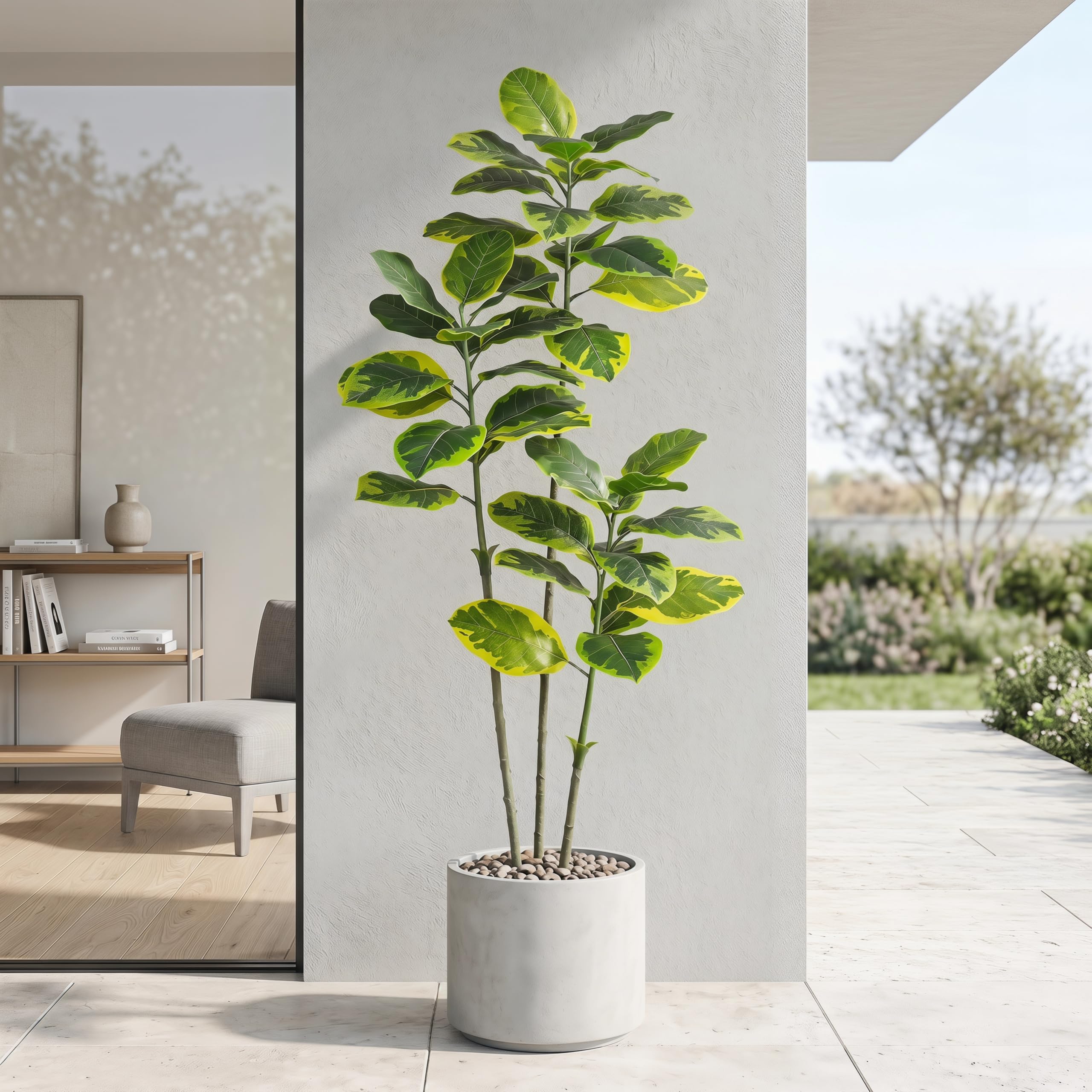 FSOHOI 5FT Ficus Tree