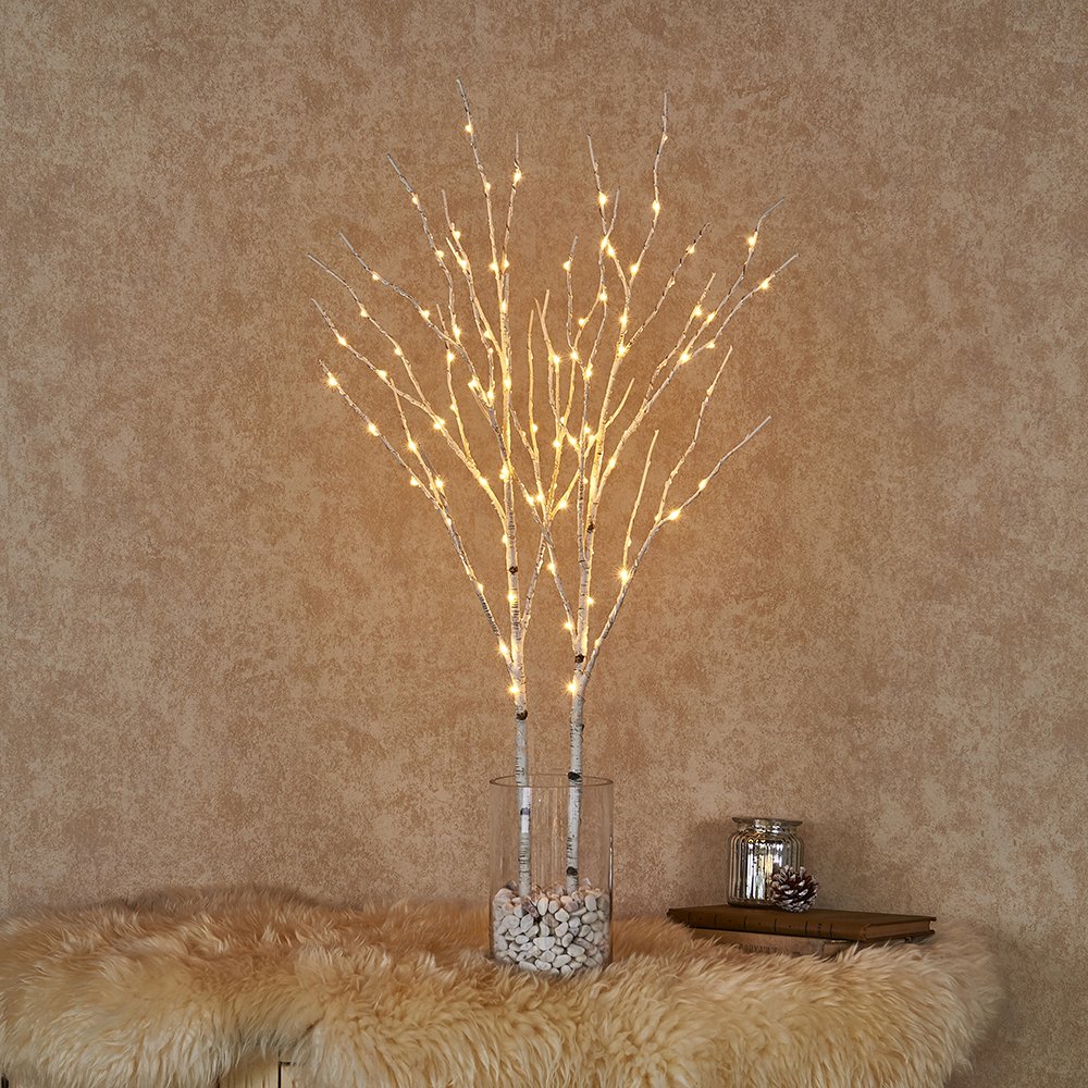 Hairui Lot de 2 branches lumineuses à piles Lot de 2.