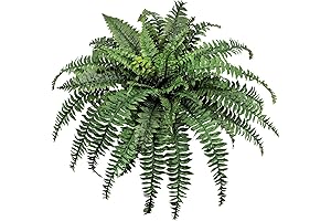 Artificial Faux Fern Outdoor: A Verdant Enhancement for Your Green Oasis