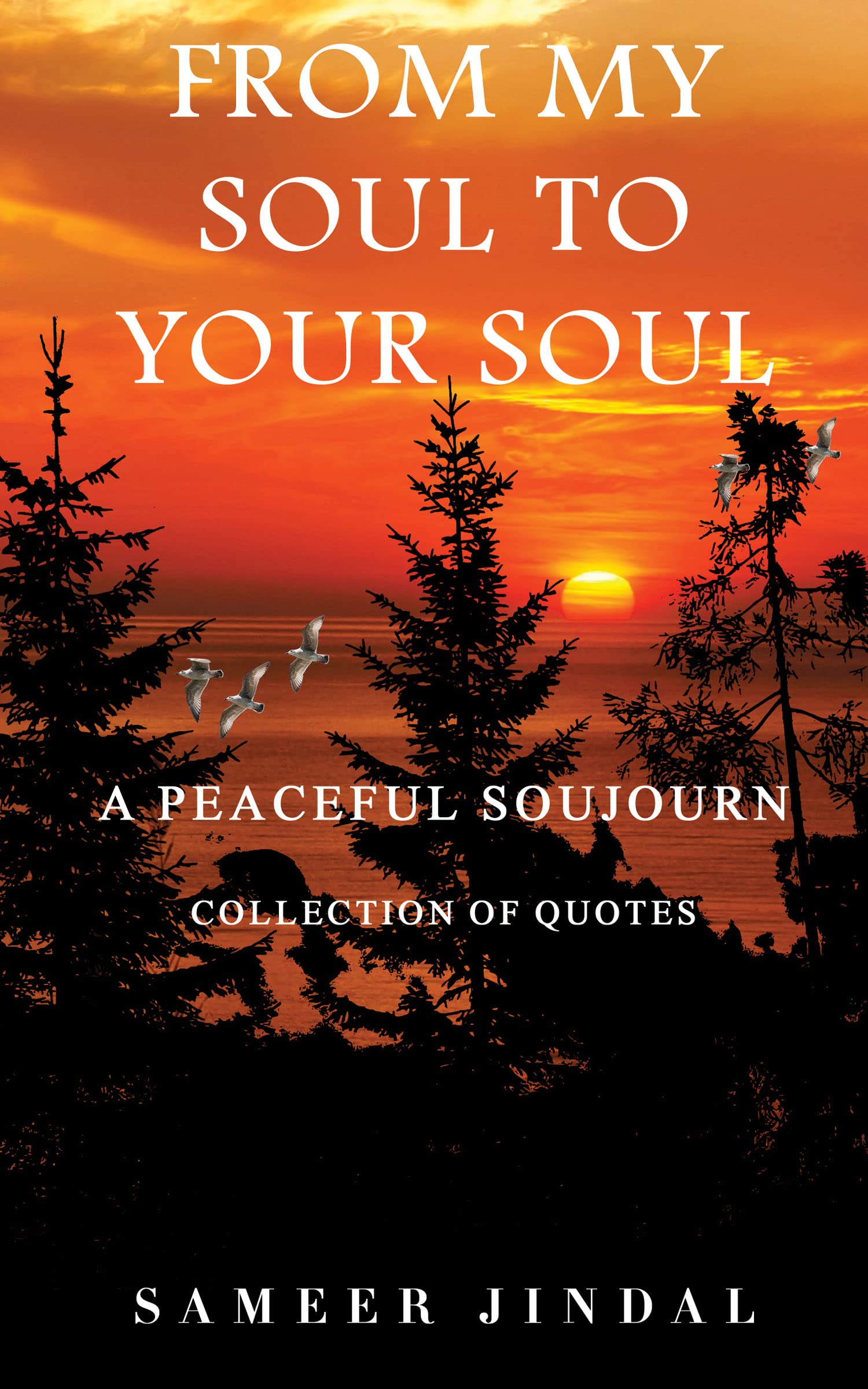 From My Soul to Your Soul -A Peaceful Sojourn