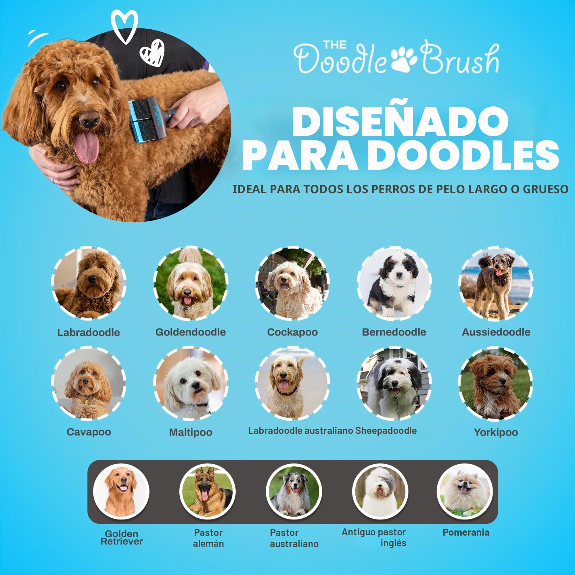 The Doodle Brush Cepillo Para Perros Doodles Con Un Doble Cabezal Goldendoodles, Labradoodle y Bernedoodle, Desenreda Pelo Largo y Rizado Kit De Aseo Para Perros Cepillo Alisador Para Erros