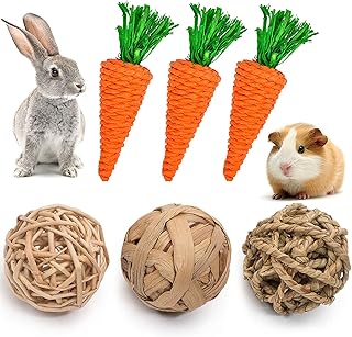 guinea pig ball amazon