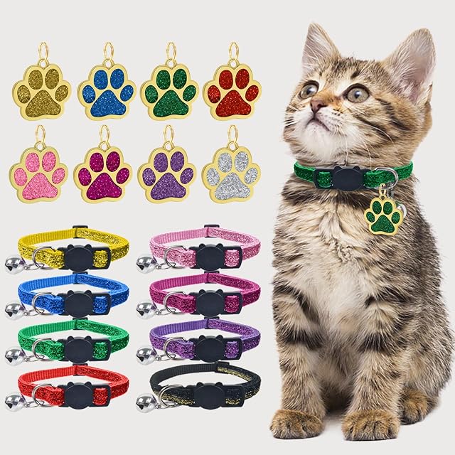 Foto 4 de 7 de Uiopa Collar Gato con Placa de Identificación Personalizada, Collar Gato Personalizado