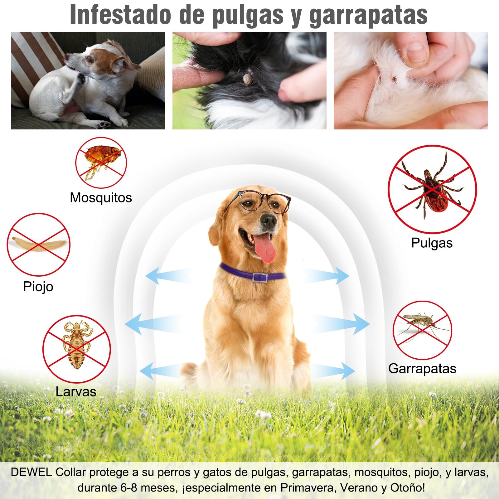 DEWEL Collares Antiparasitarios, Collares contra Pulgas y Garrapatas para Perros y Gatos, Collares Antipulgas Ajustable para Mascotas (Morado, 63.5 cm)