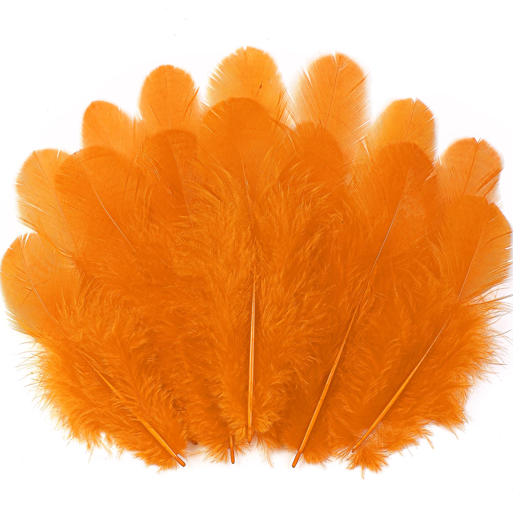 Soarer 300pcs Orange Rooster Feathers Bulk