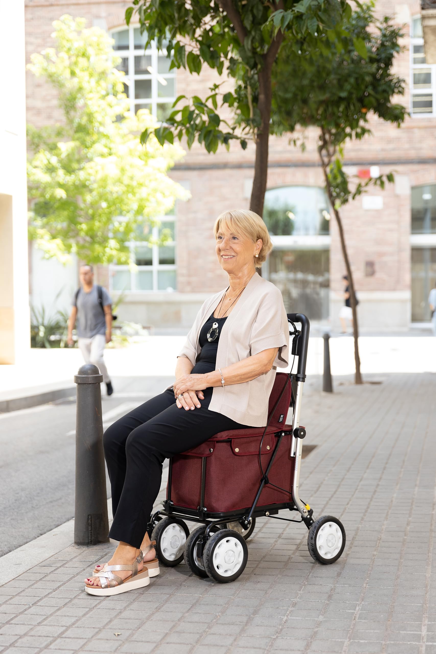 Carlett Andador y Carrito con Asiento Incorporado, Producto Médico Homologado EU, Manillar Regulable, Freno de Parking y Ruedas Ajustables 3 Posiciones, Robusto, Comfort Assist, Verde
