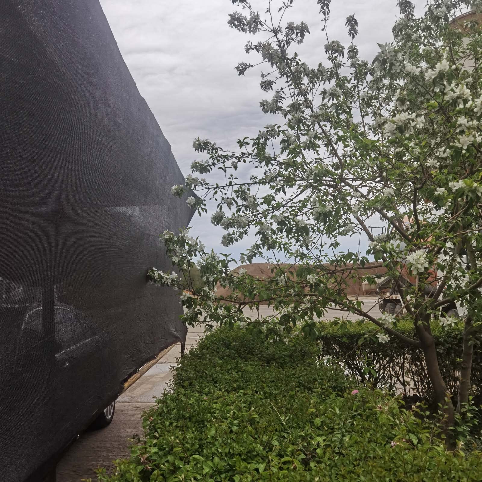 7x10m Cubierta de Tela con Bloqueador Solar, Red de Sombra para Plantas de Jardín, Lona de Malla de Sombra para Patio, Red de Sombra para Cubierta de Plantas, Malla de Bloqueador Solar Negra