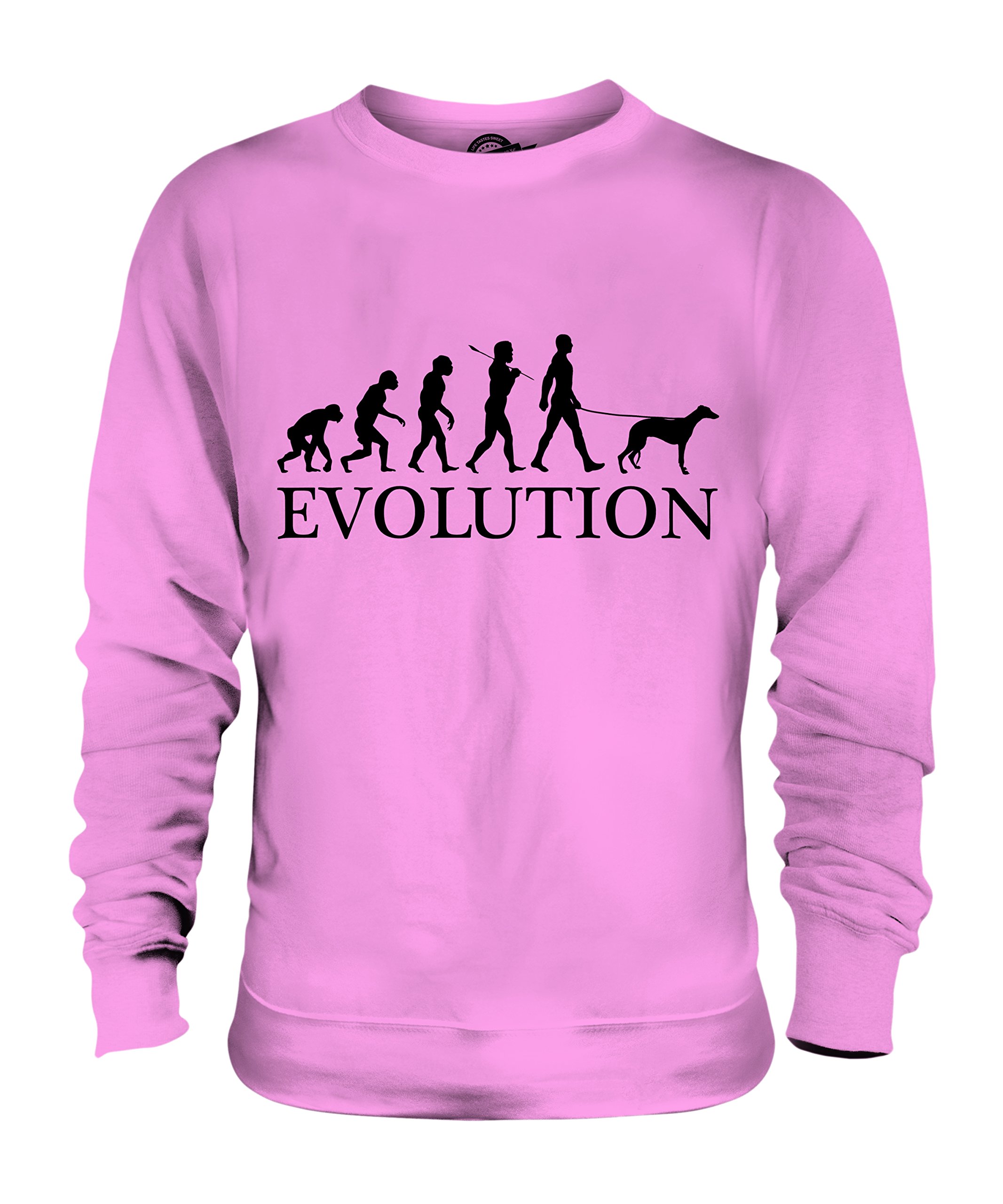 Sweat Whippet Évolution coton unisexe vêtement lévrier