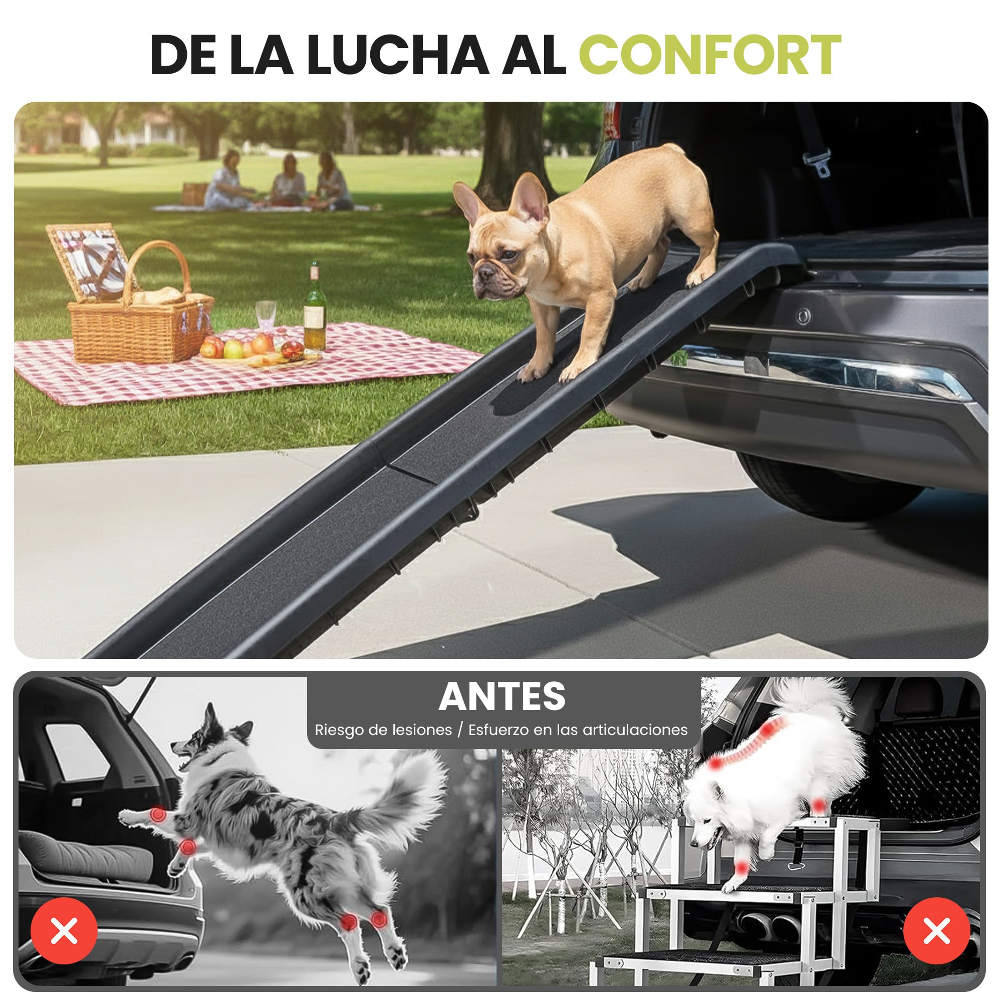all Pets United® Rampa Plegable para Perros y Gatos Peldaño de Entrada para el Maletero del Coche Escaleras para Mascotas para Animales Grandes y pequeños (Rampa)
