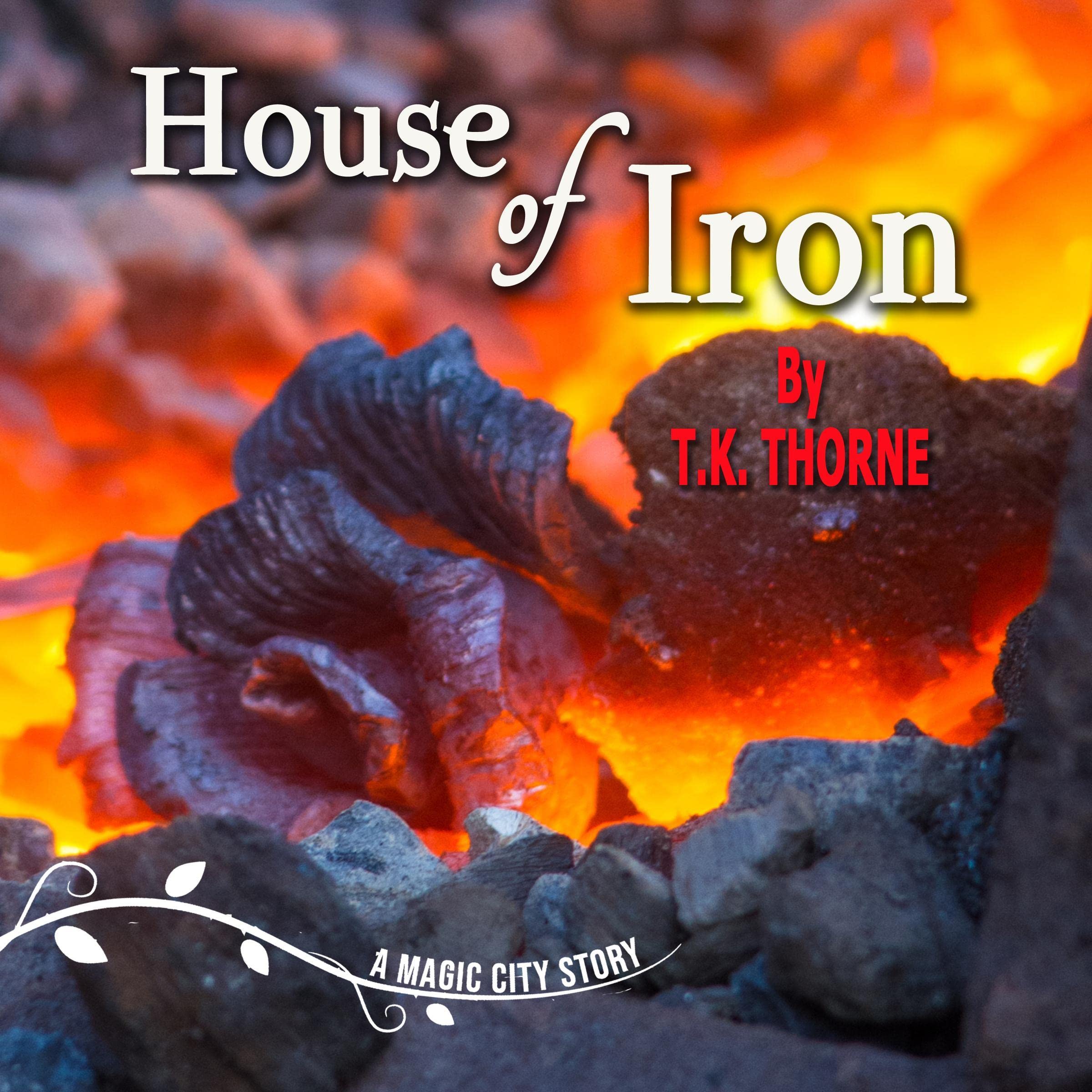 Cover art for House of Iron