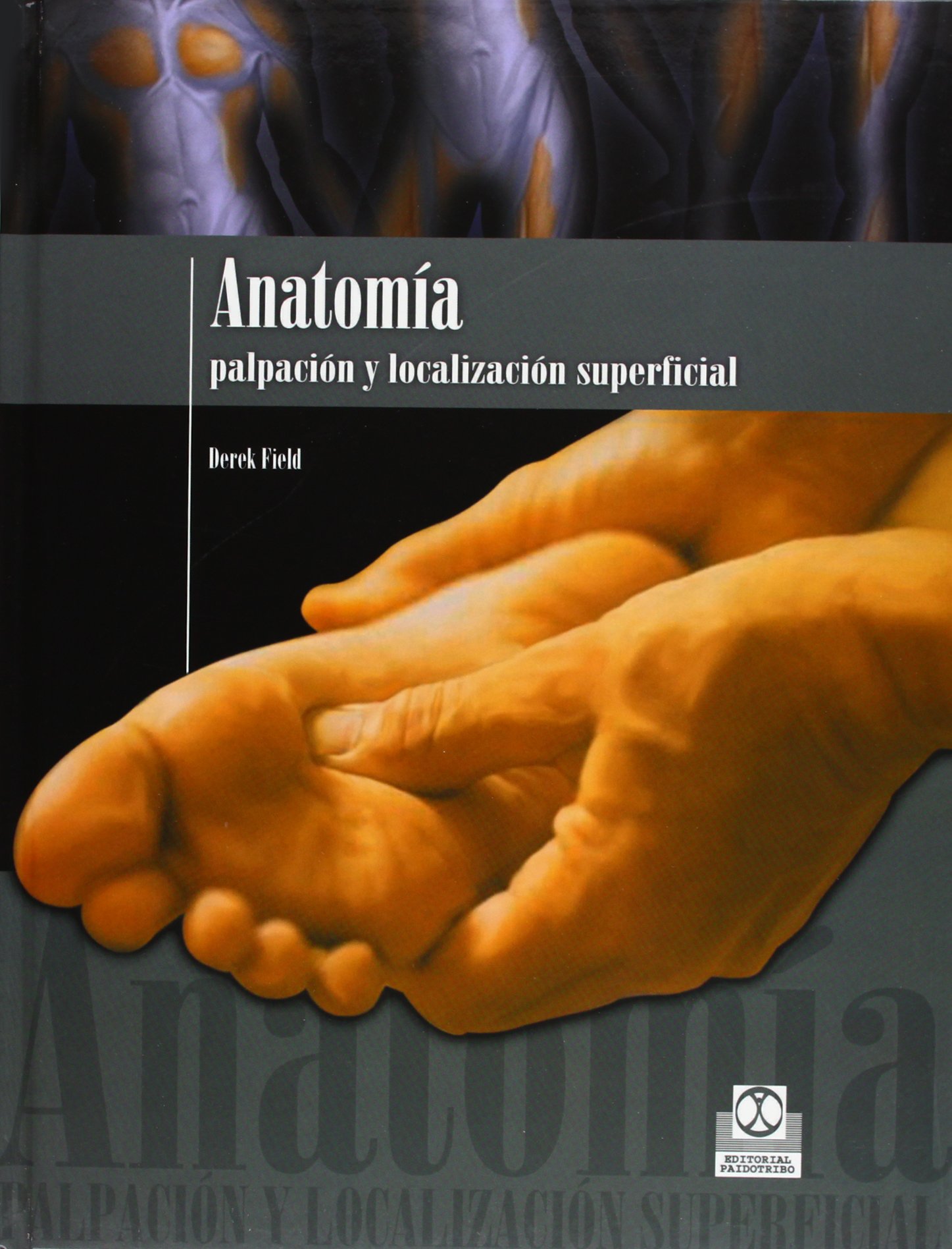 ANATOMÍA. Palpación y localización superficial (Color) (Medicina)