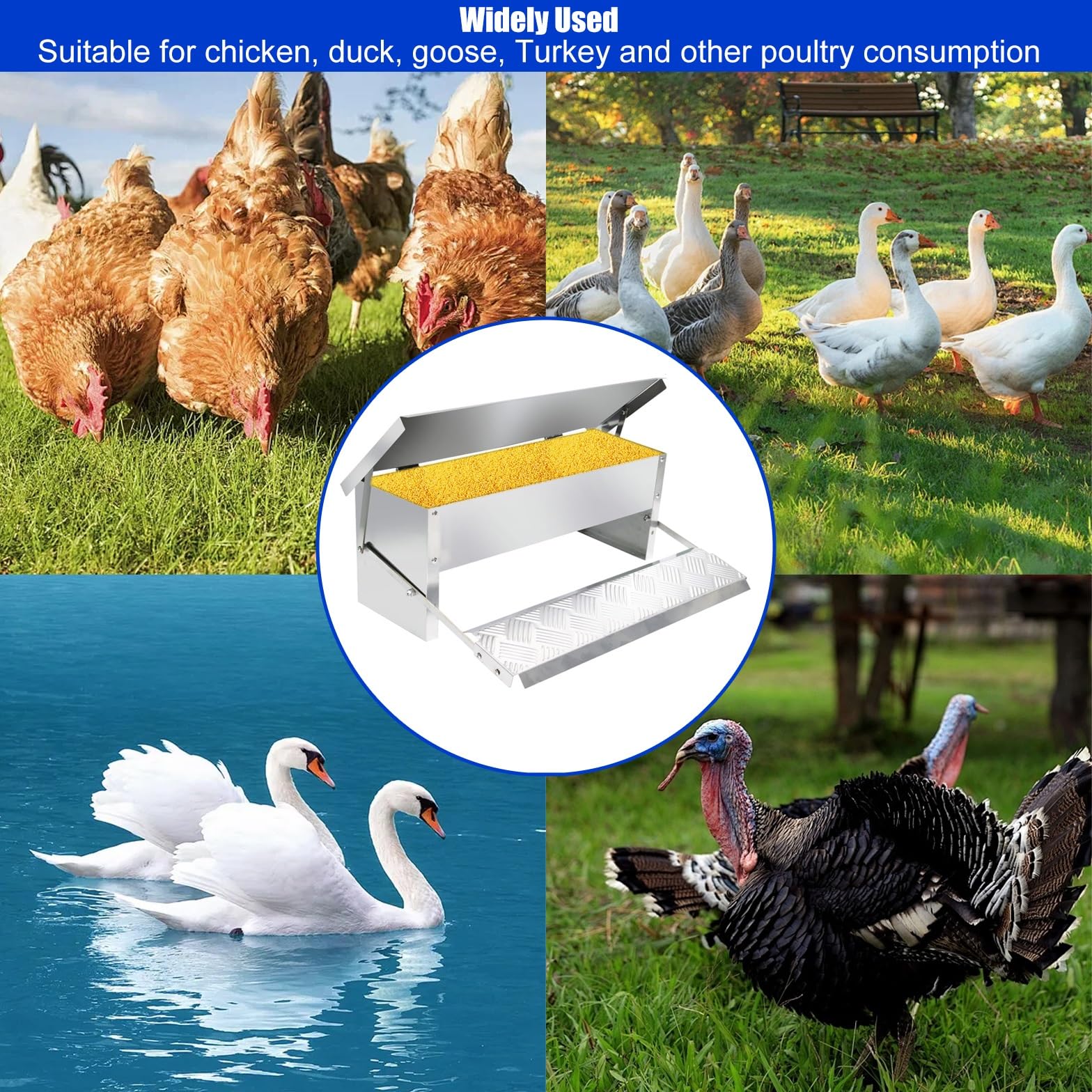 Comedero automático para pollos, a prueba de ratas, 5 kg, resistente a la lluvia, para pollos, pavos, gansos, patos, diseño eficiente y duradero