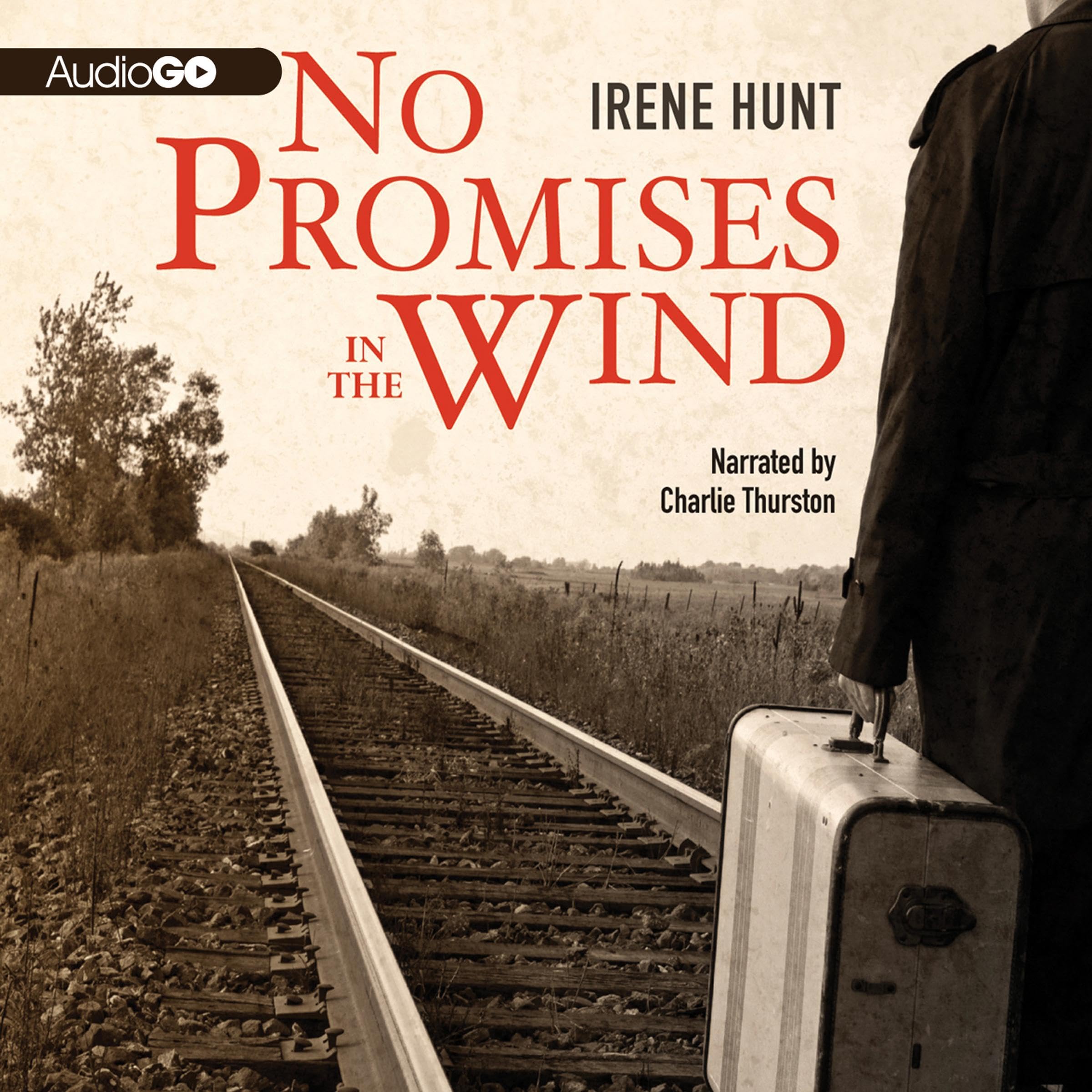 Cover art for No Promises in the Wind