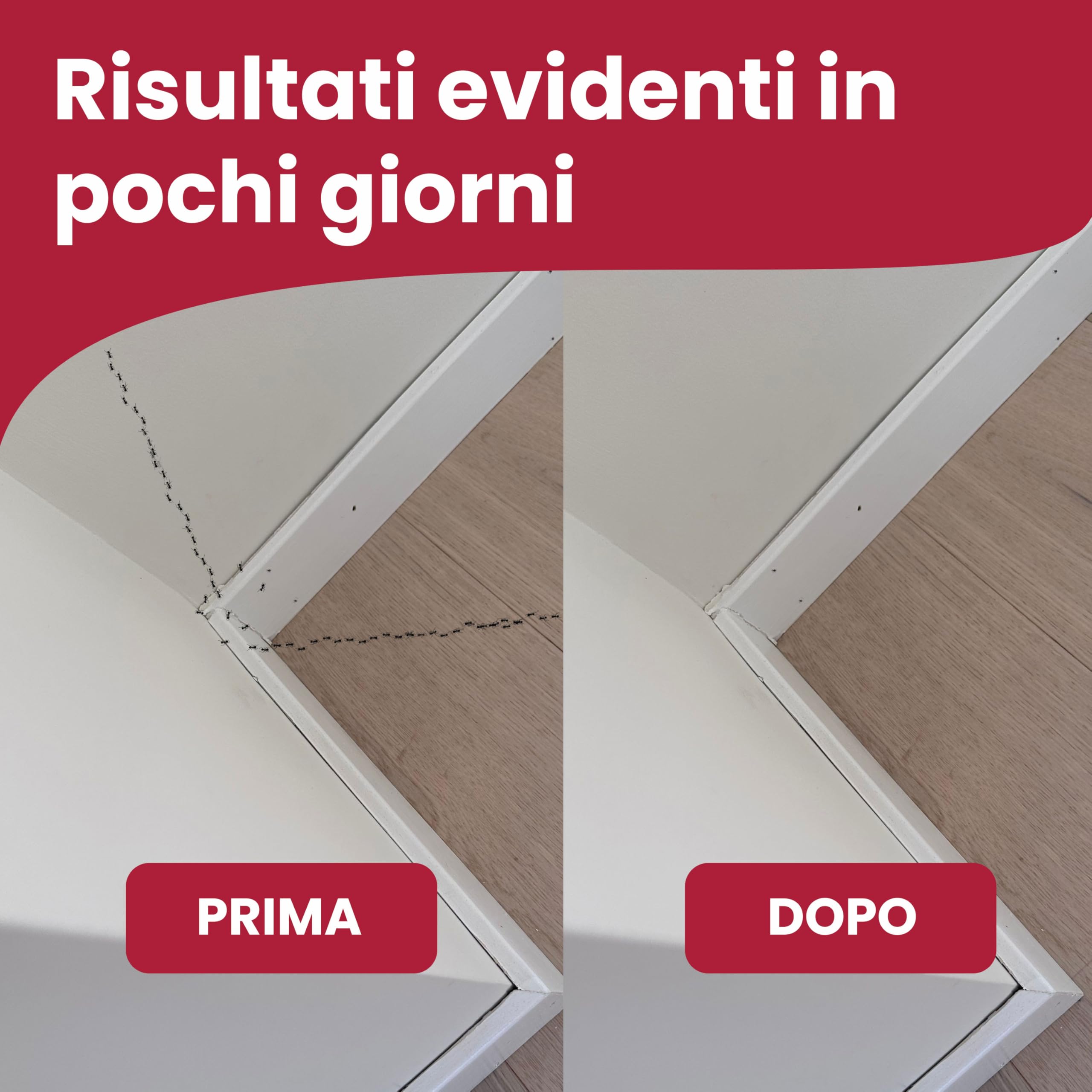 LERAVA Gel Insetticida Formiche 10 g - Esca Potente per Eliminare Colonie - Anti Formiche