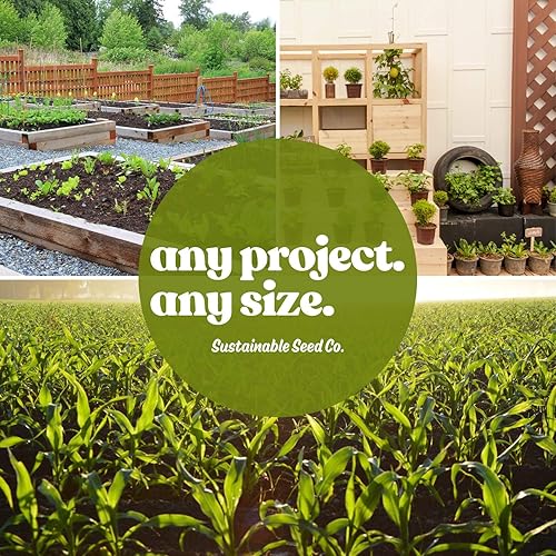 Miniatura 5 de Meadow Mix - Semillas de flores silvestres de 5 libras, 26 variedades anuales y perennes para polinizadores, aptas para abejas, sin OMG, tamaños a