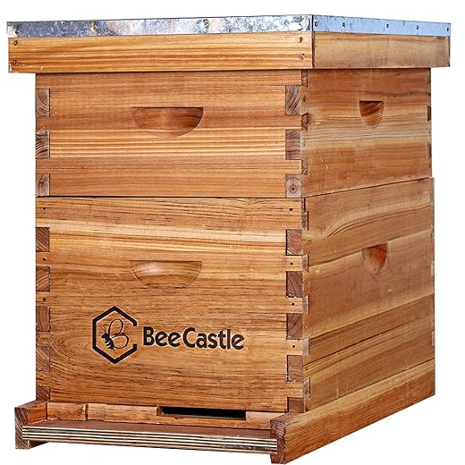 BeeCastle 10-Frames Complete Beehive Kit, 100% Beeswax Coated Bee Hive Includes Beehive Frames and Beeswax Coated Foundation Sheet (2 Layer)