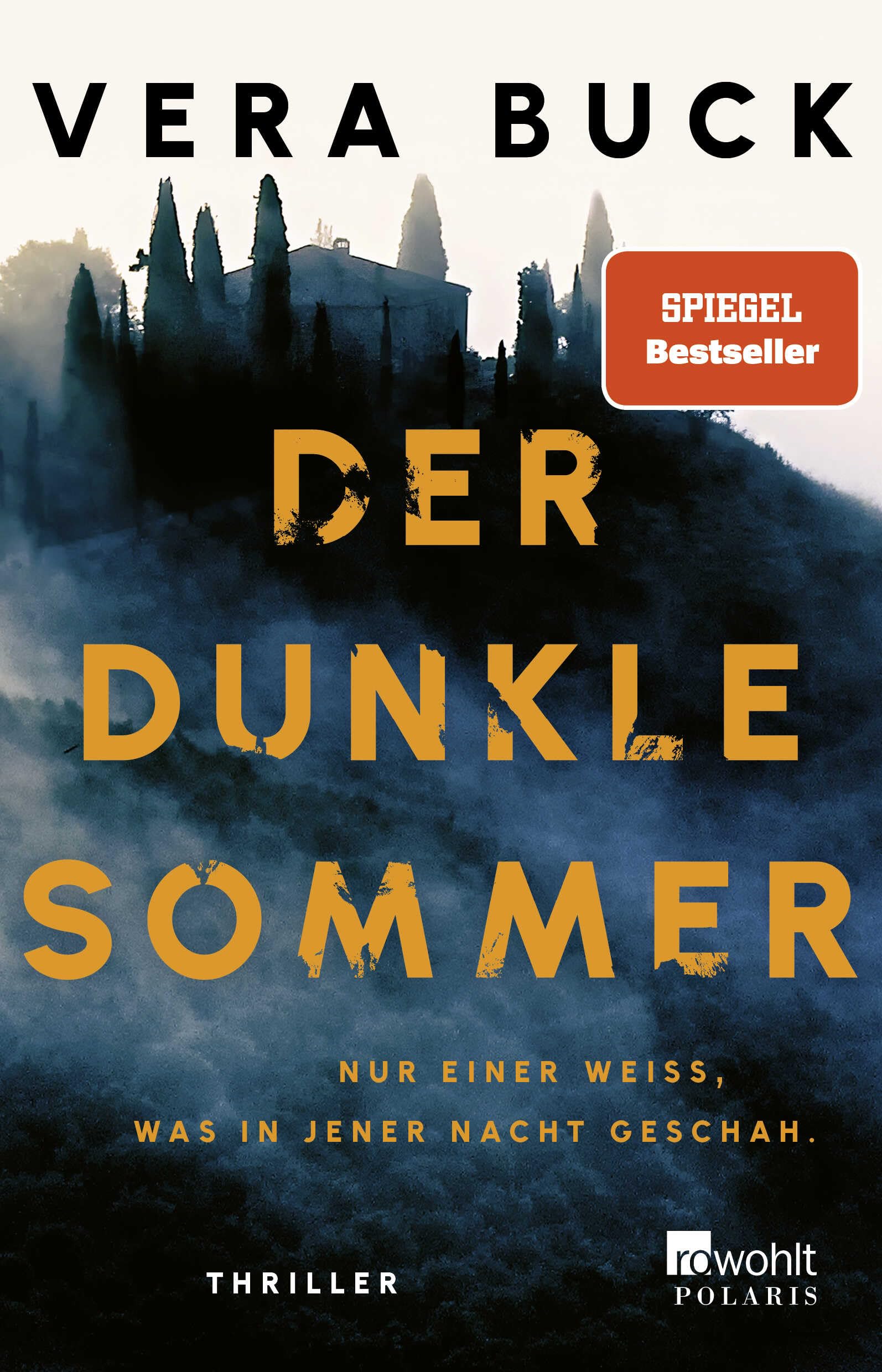 Der dunkle Sommer: Nur einer weiß, was in jener Nacht geschah. | Thriller