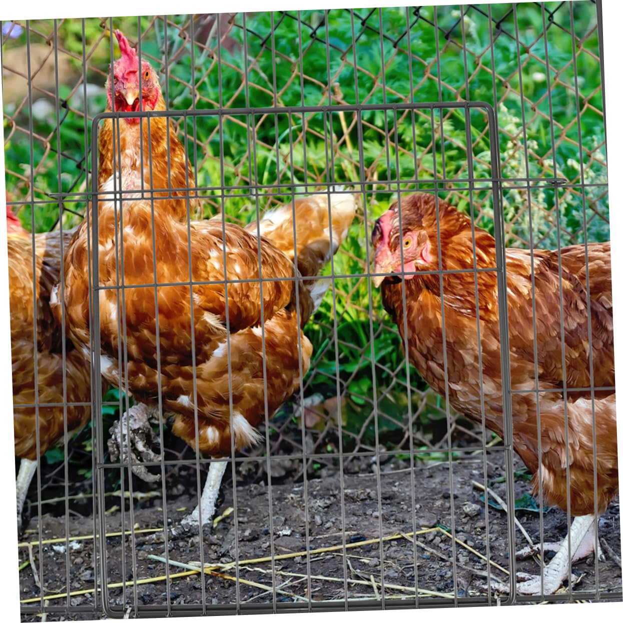 Hohopeti Replacement Cat Cage Door Panel 2pcs Pet Puppy Cage Door Wire Grid Sheet 35x35mm