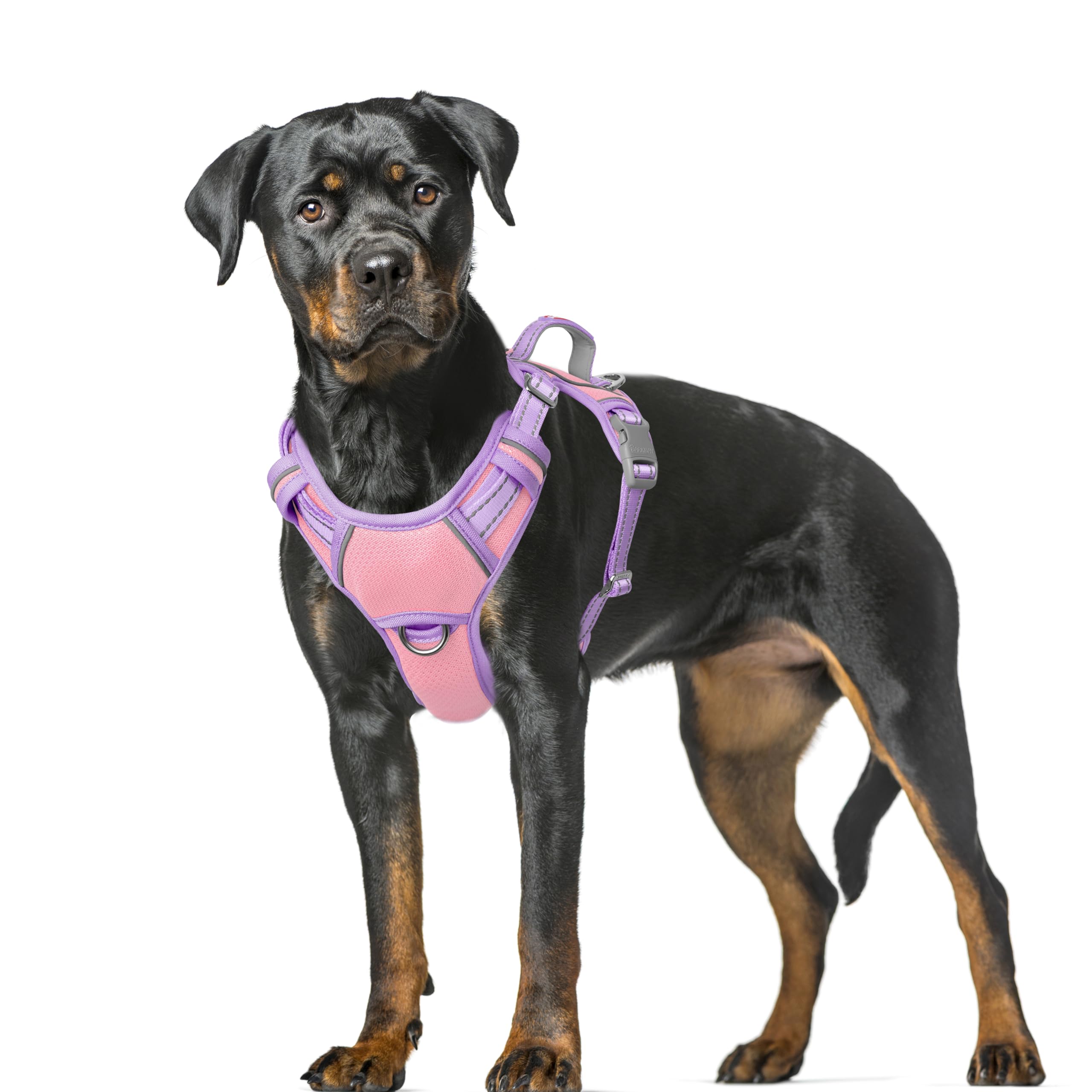 BARKBAY No Pull Dog Harness Large Reflective Dog Harness with Front Clip and Easy Control Handle for Walking Training Running with ID tag Pocket(Baby Pink & Violet Purple,XL) โ image 1