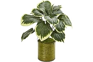 Nearly Natural 23" Variegated Hosta Artificial Metal Planter Silk Plants, Green