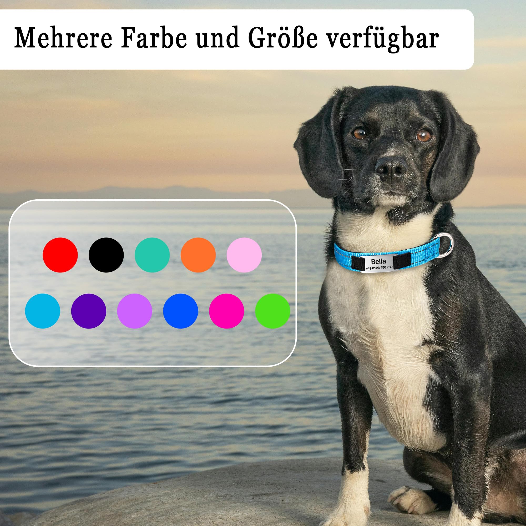 Personalisiertes Hundehalsband Mit Namensschild – Reflektierend & Mit Nieten | Leder-Optik Verstellbar