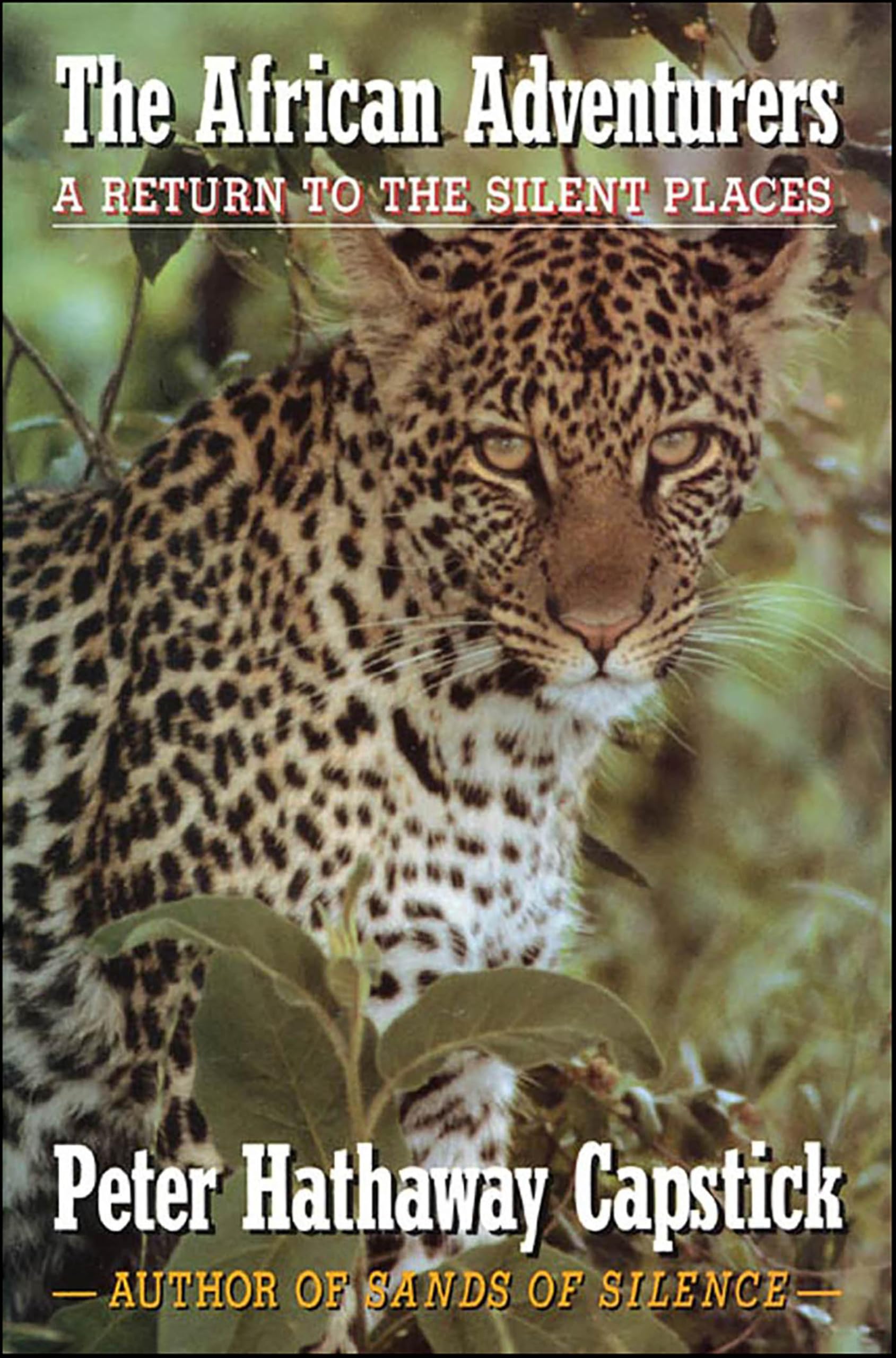 The African Adventurers: A Return to the Silent Places