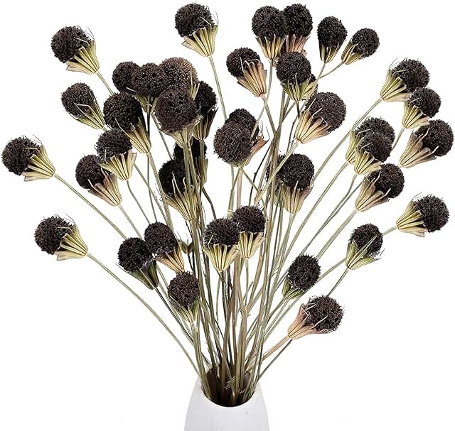 Amazon.fr branche decorative pour vase