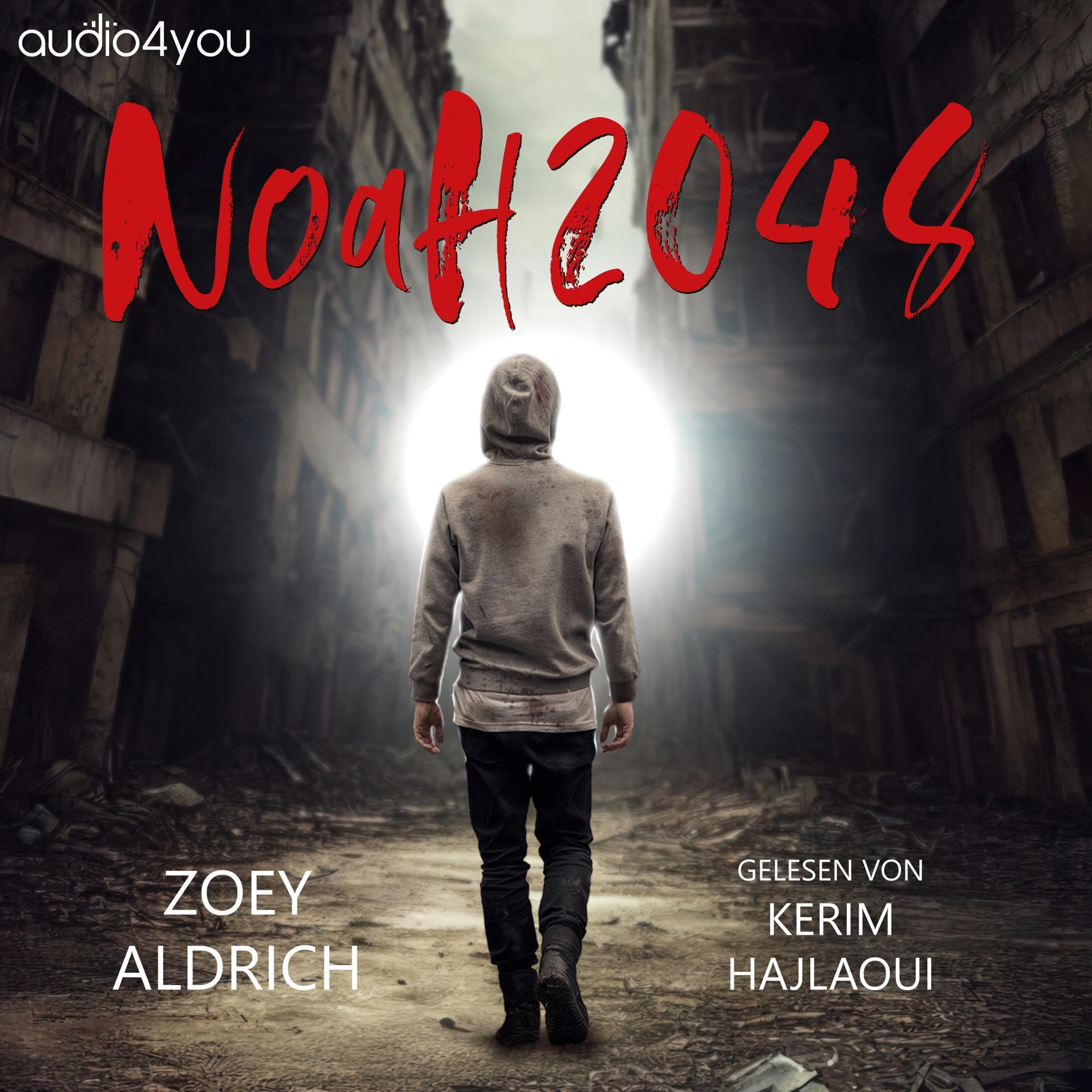 Cover art for Noah 2048