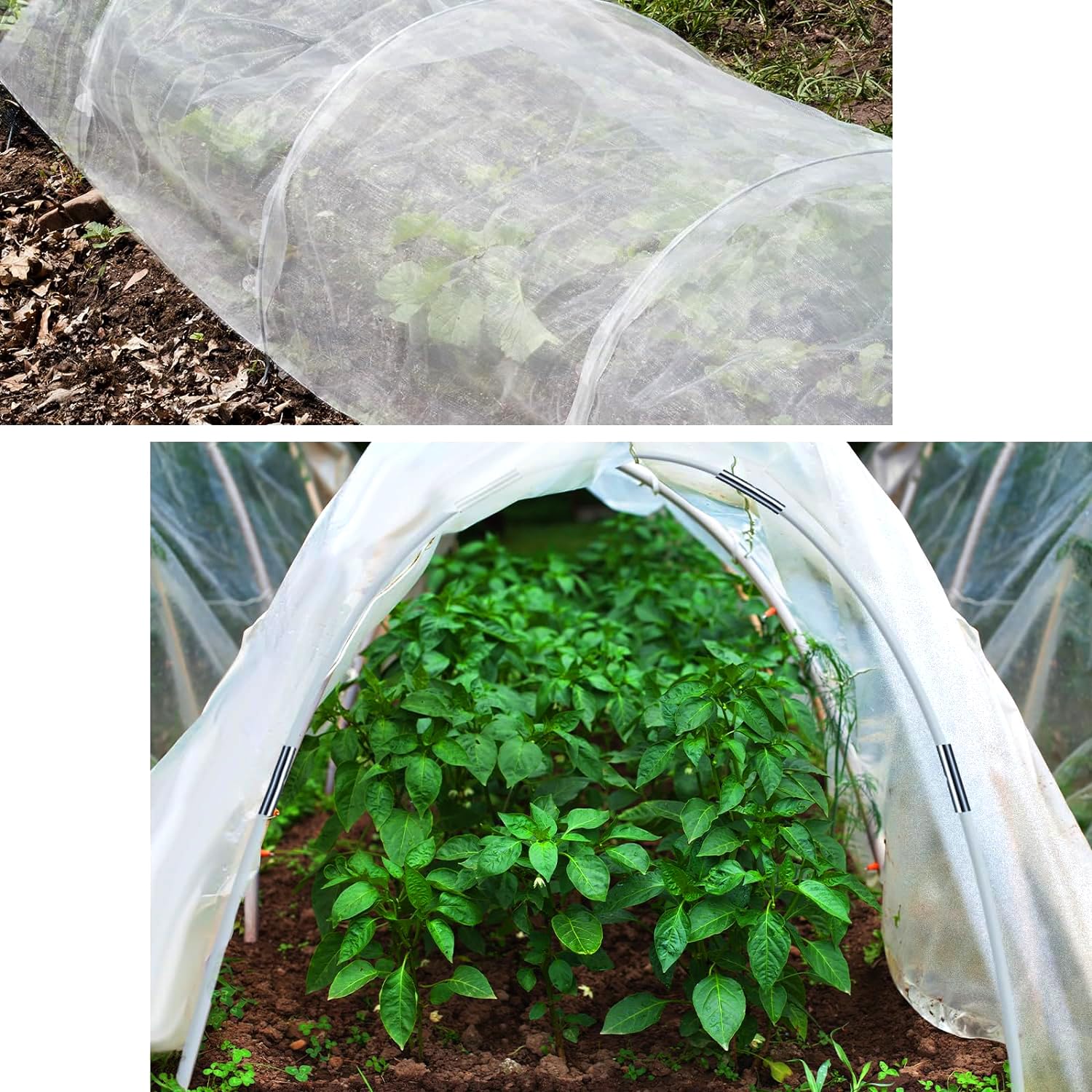 YeahBoom Garden Arceaux pour Serre Tunnel, Tunnel de Plantation arqué, Cadre pour Serre De Jardin, Plantes Poussent des Tunnels Soutien Maisons Jardinage Un Cadre Culture en Fibre Verre Jardins
