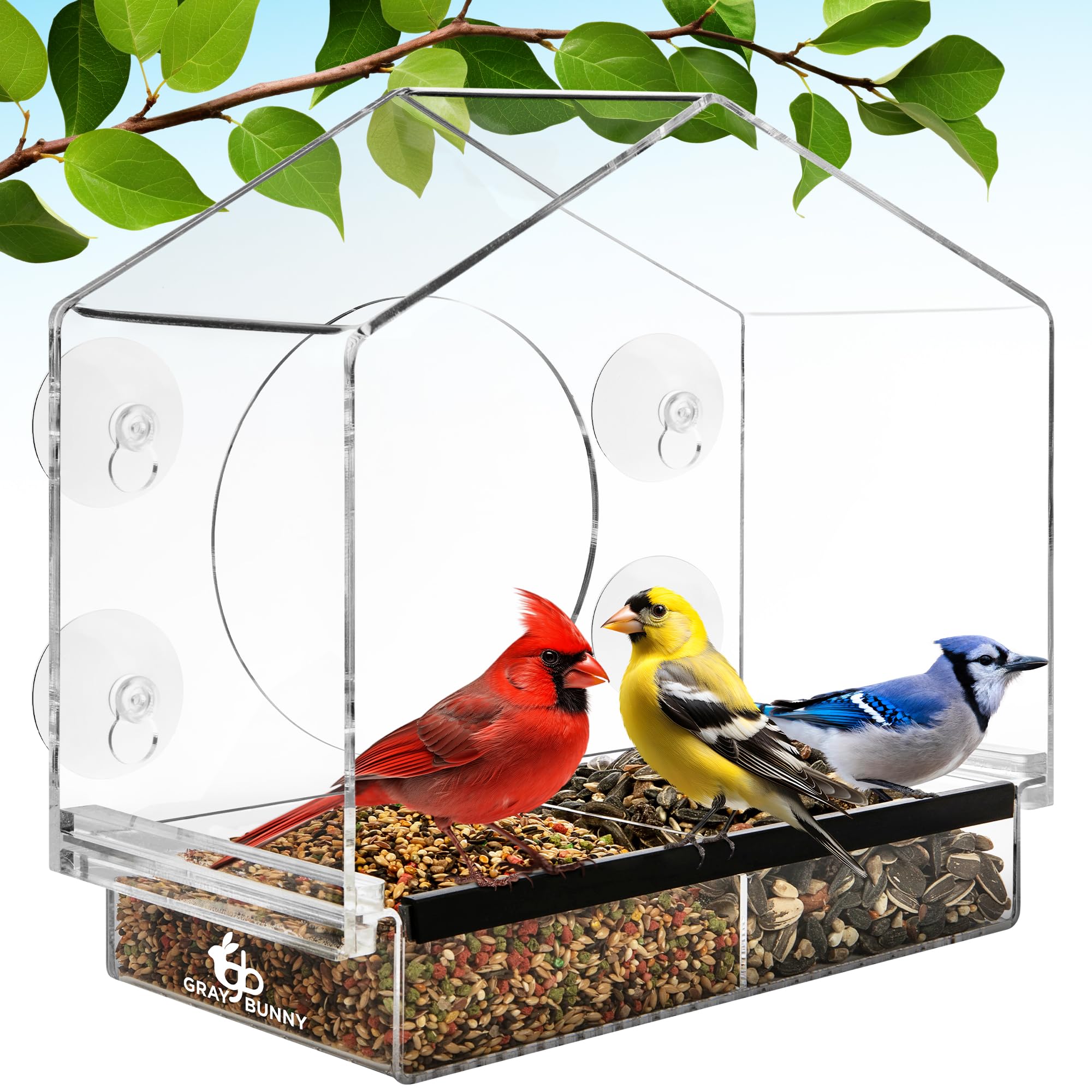 Window Bird Feeder with Strong Suction Cups (Clear) Bird Feeders for Outdoors with Drain Holes, Removable Tray and Large Seed Capacity