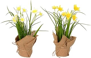 Vickerman Everyday 10