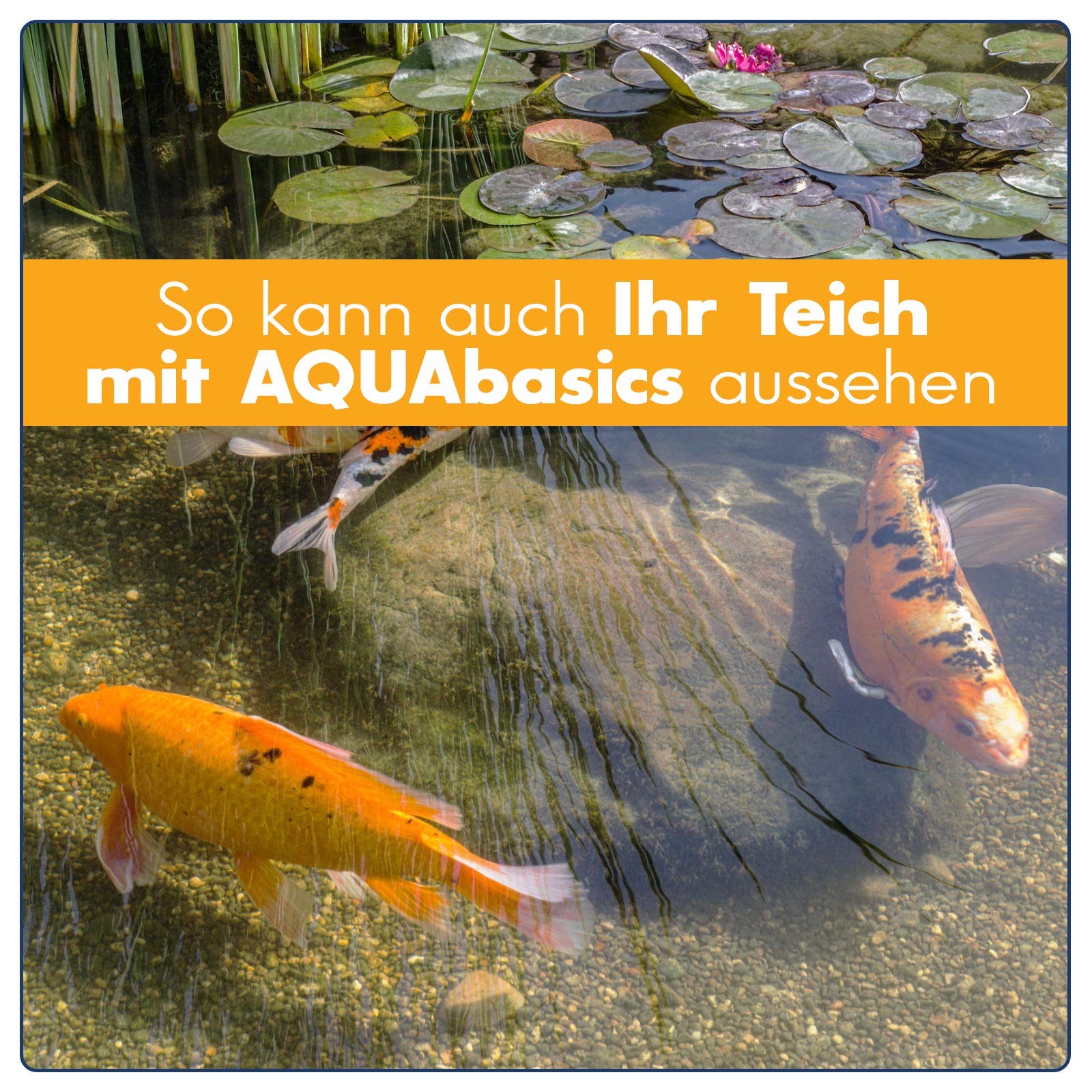 AQUAbasics Gartenteich Wasser-Aktiv Mix für eine bessere Wasserqualität, Gute Wasserwerte und klares Wasser - Reduziert Schadstoffe wie Nitrit und Ammoniak, Größe:5 kg