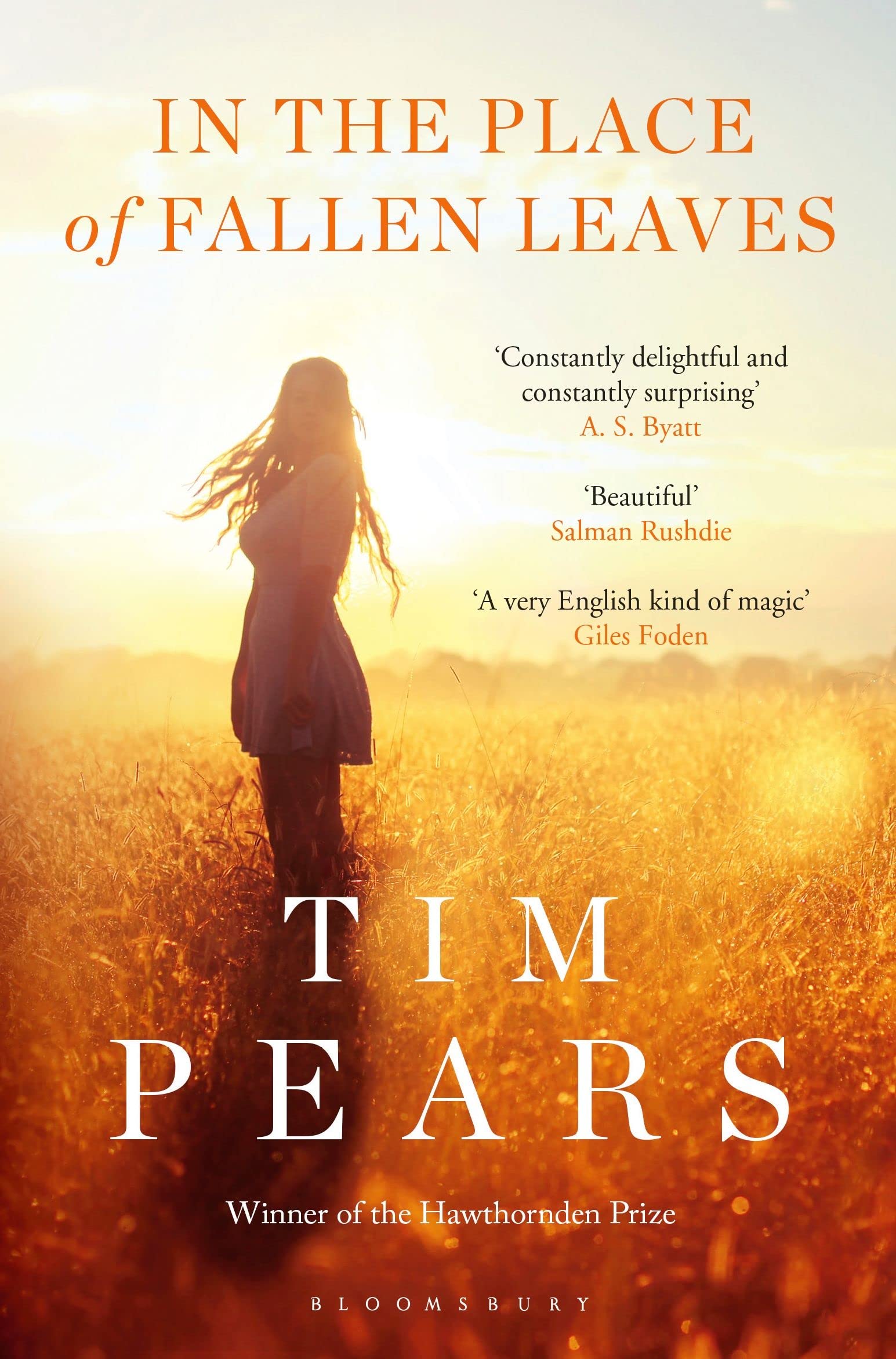 In the Place of Fallen Leaves,Tim Pears- 9781408884102