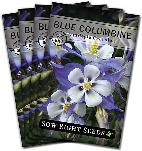 Sow Right Seeds - Semillas de flores de columbina azul para plantar - Paquete de reliquia sin OMG con instrucciones para plantar en tu jardín -