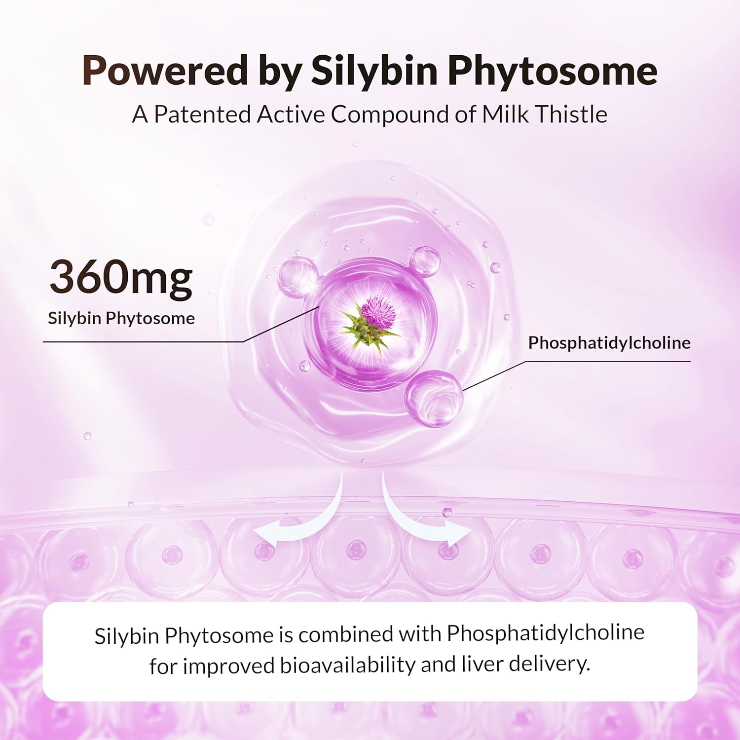 UltraThistle Advanced Milk Thistle Supplement – 1080mg Silybin Phytosome for Superior Absorption – Liver Support, Detox & Enzyme Health – Non-GMO, Gluten Free, Soy Free – 90 Capsules (30-Day Supply)