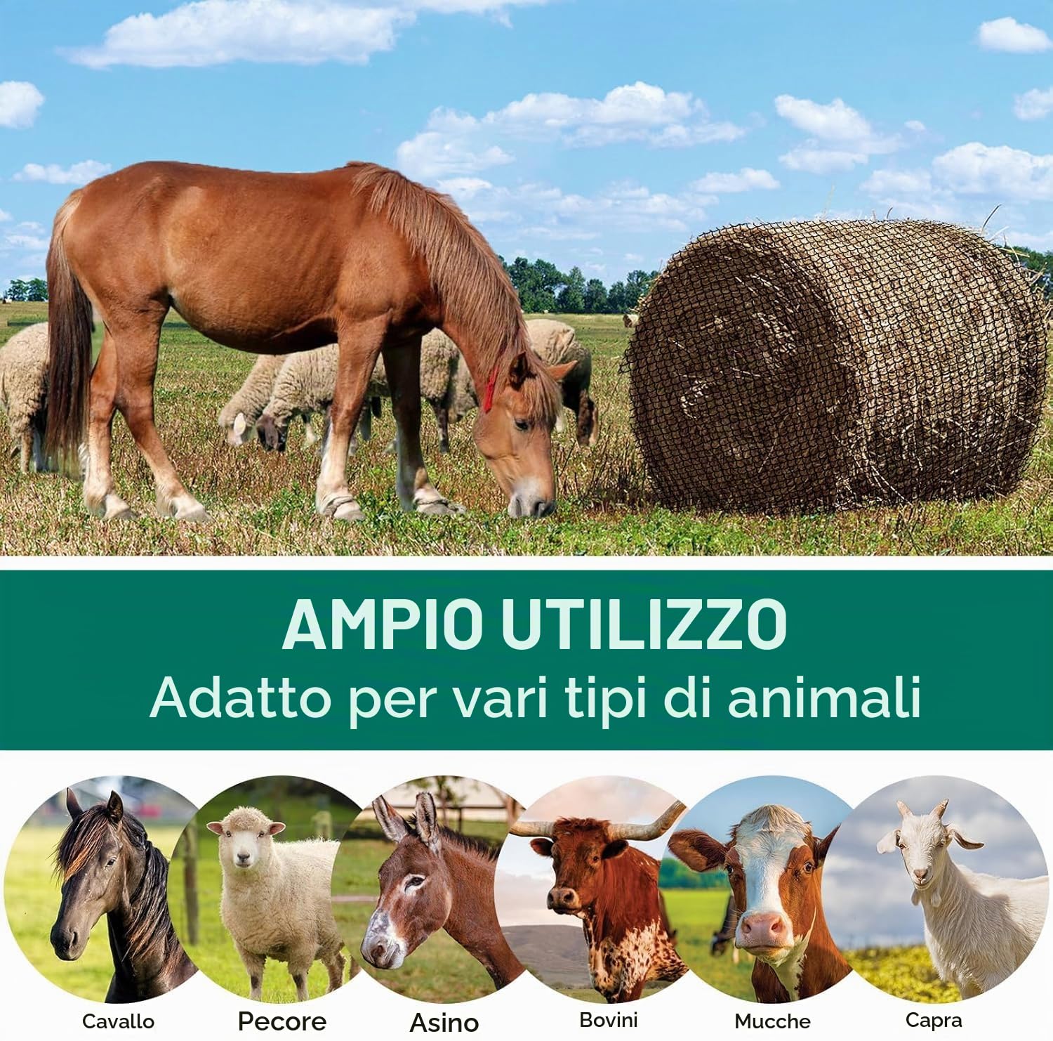 Rete per Fieno 150x150cm in PE - Sacco Alimentazione Lenta per Cavalli, Pecore, Camelidi, Adatto Ballerine Rotonde/Carrate, Resistente UV e Antigelo