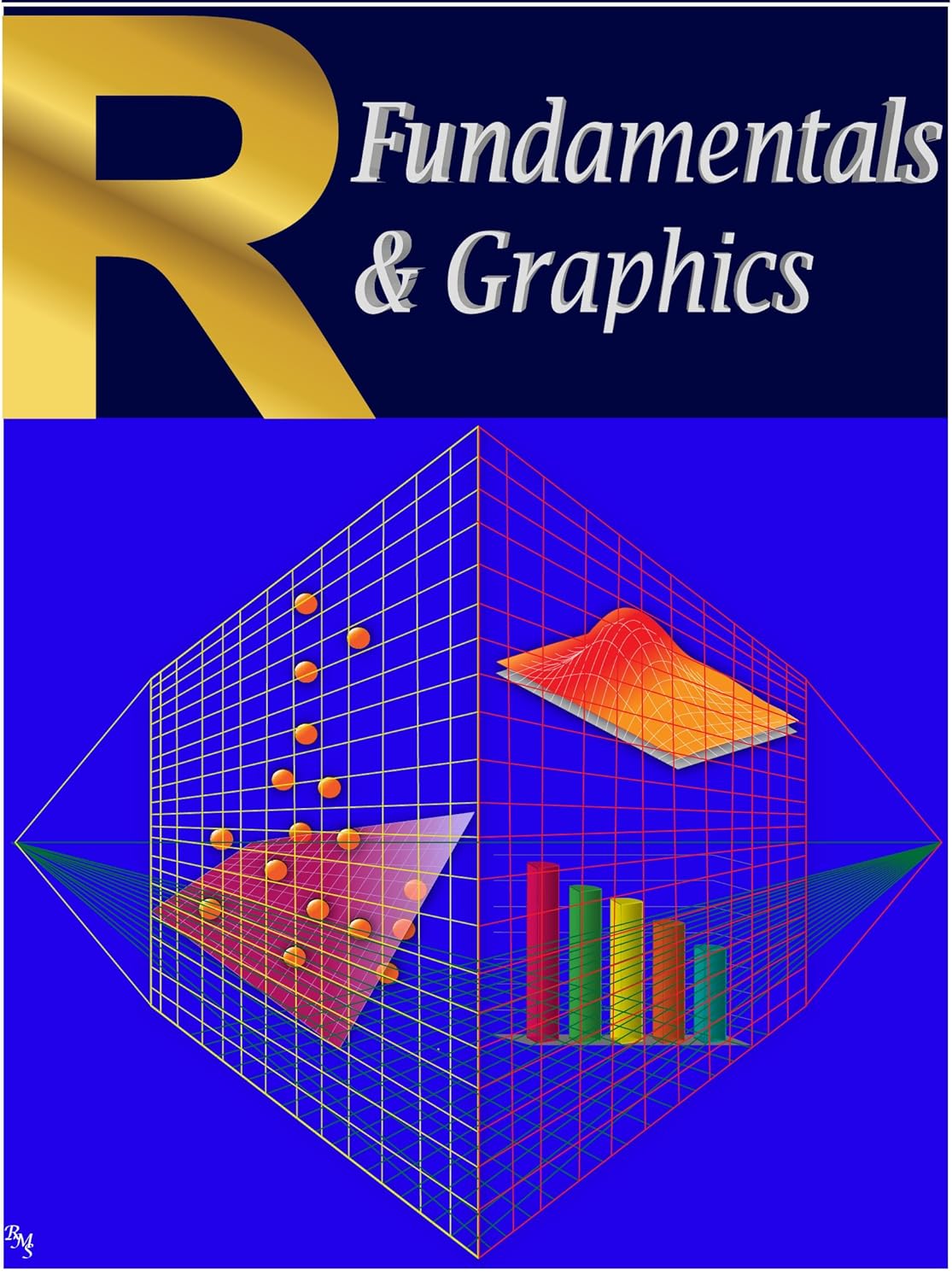 R Fundamentals & Graphics: Volume 1 1st, Books, RMS, eBook - Amazon.com