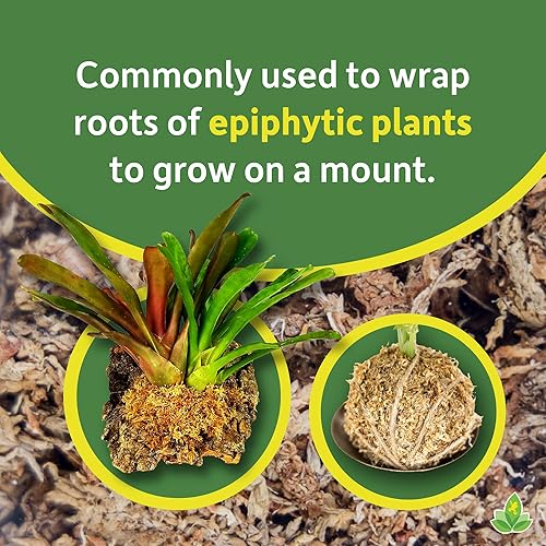 Miniatura 5 de Josh's Frogs Sprig & Stone Sphagnum Moss (1 cuarto de galón)