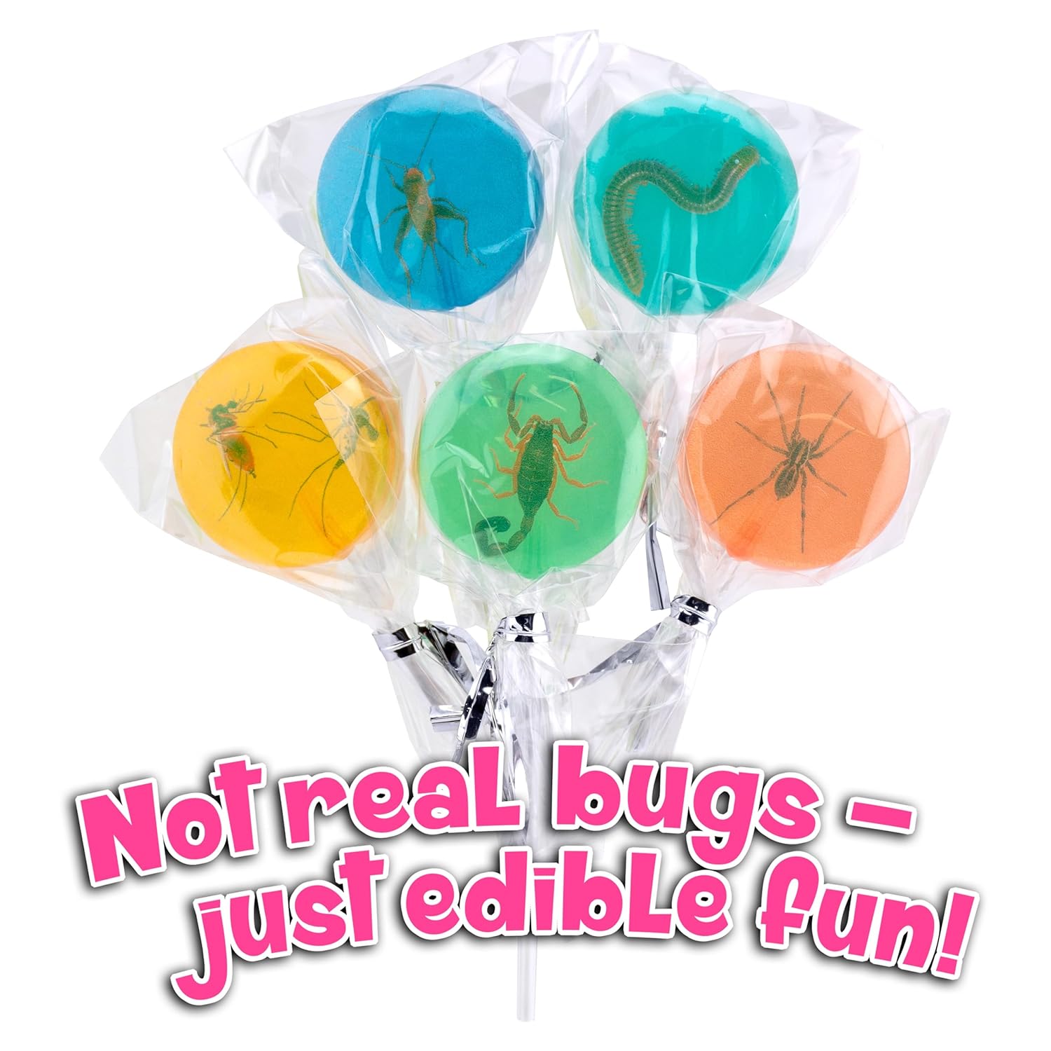 Boone's Mill Bug suckers - Realistic Looking Insect Lollipops Sugar-Free Creepy Crawly Candy