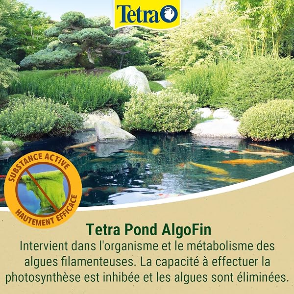 Tetra Pond Algofin - Anti Algue pour Bassin de Jardin - Efficace sur tous types d'Algues - 500 ml - 2
