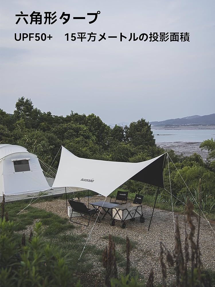 81oY26CFiVL._AC_UF894, 81oY26CFiVL._AC_UF894,