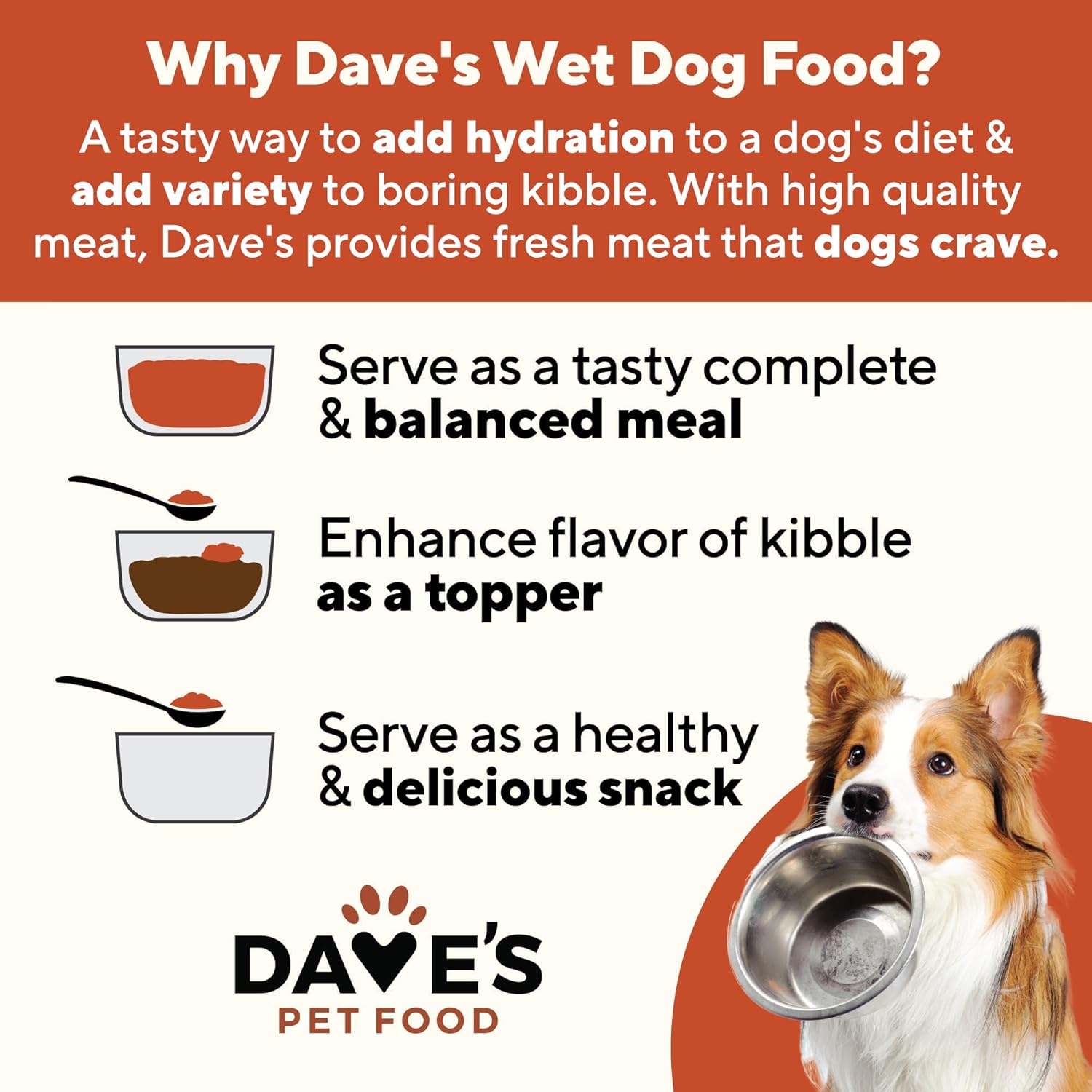 Dave's Pet Food Stewlicious Grain Free Wet Canned Dog Food (Chicken Pot Pie), Prebiotics & Omega 3s & 6s, Soft Texture for Adult & Senior Dogs, 13.2 oz (12 Pack)