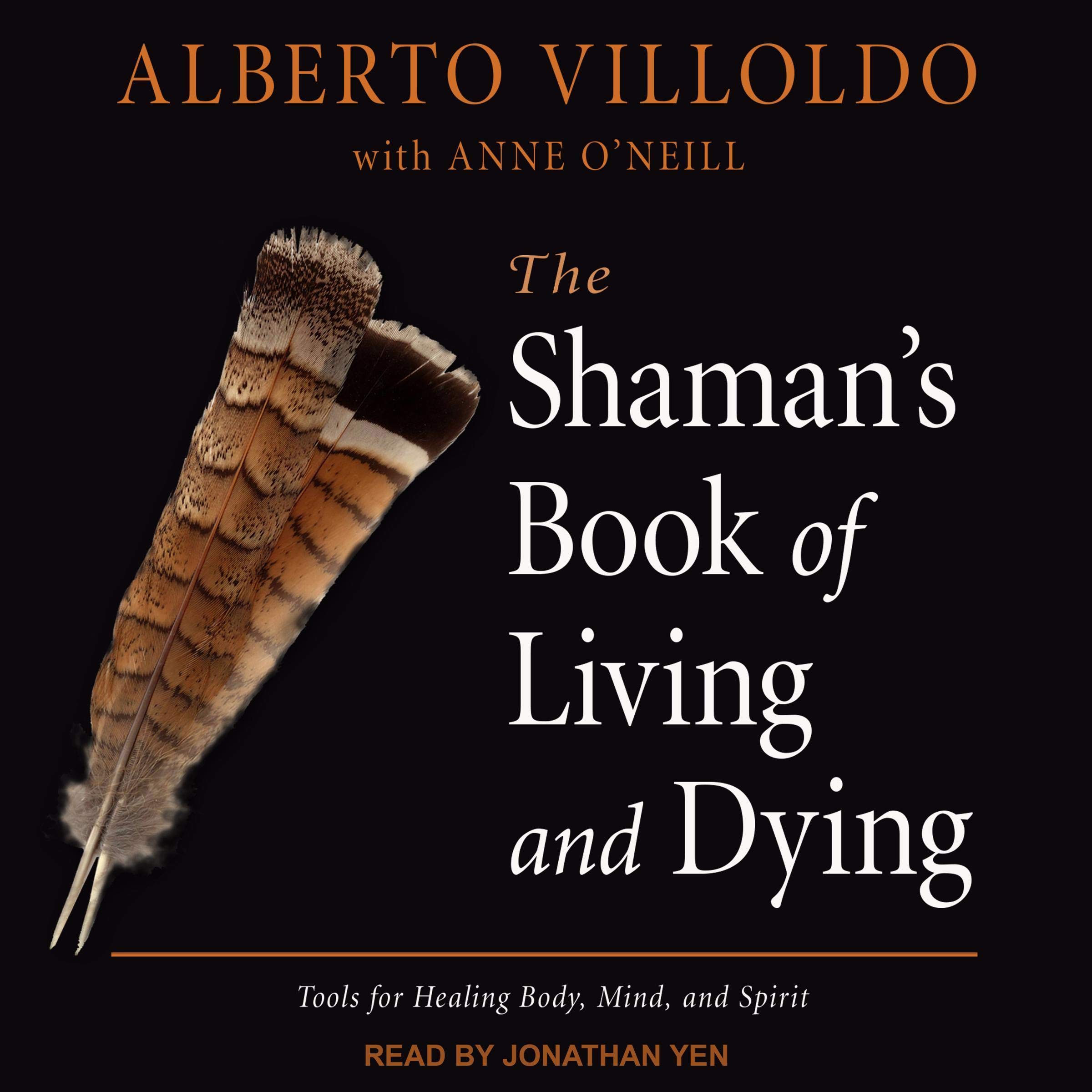 Cover art for The Shaman's Book of Living and Dying