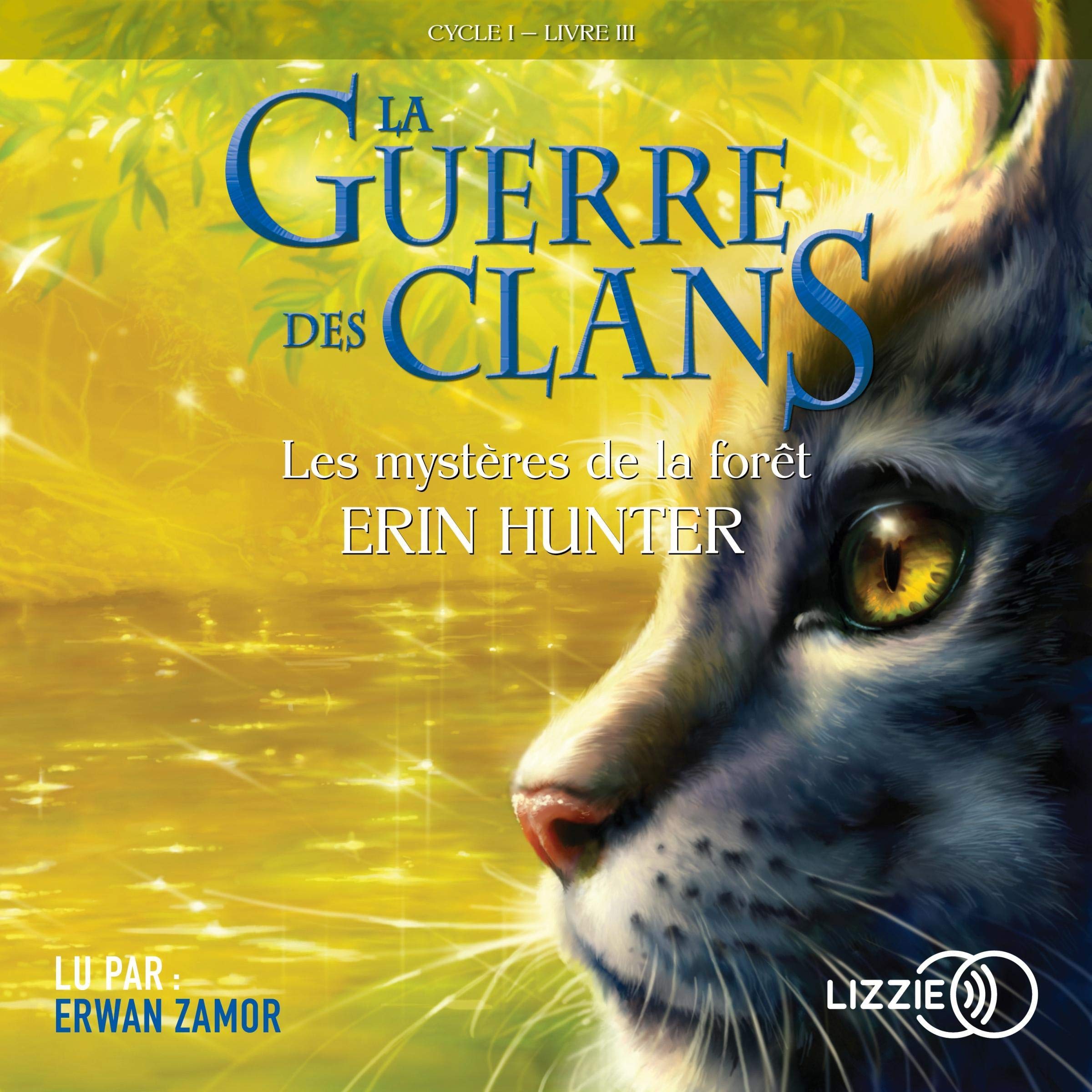 Cover art for Les mystères de la forêt