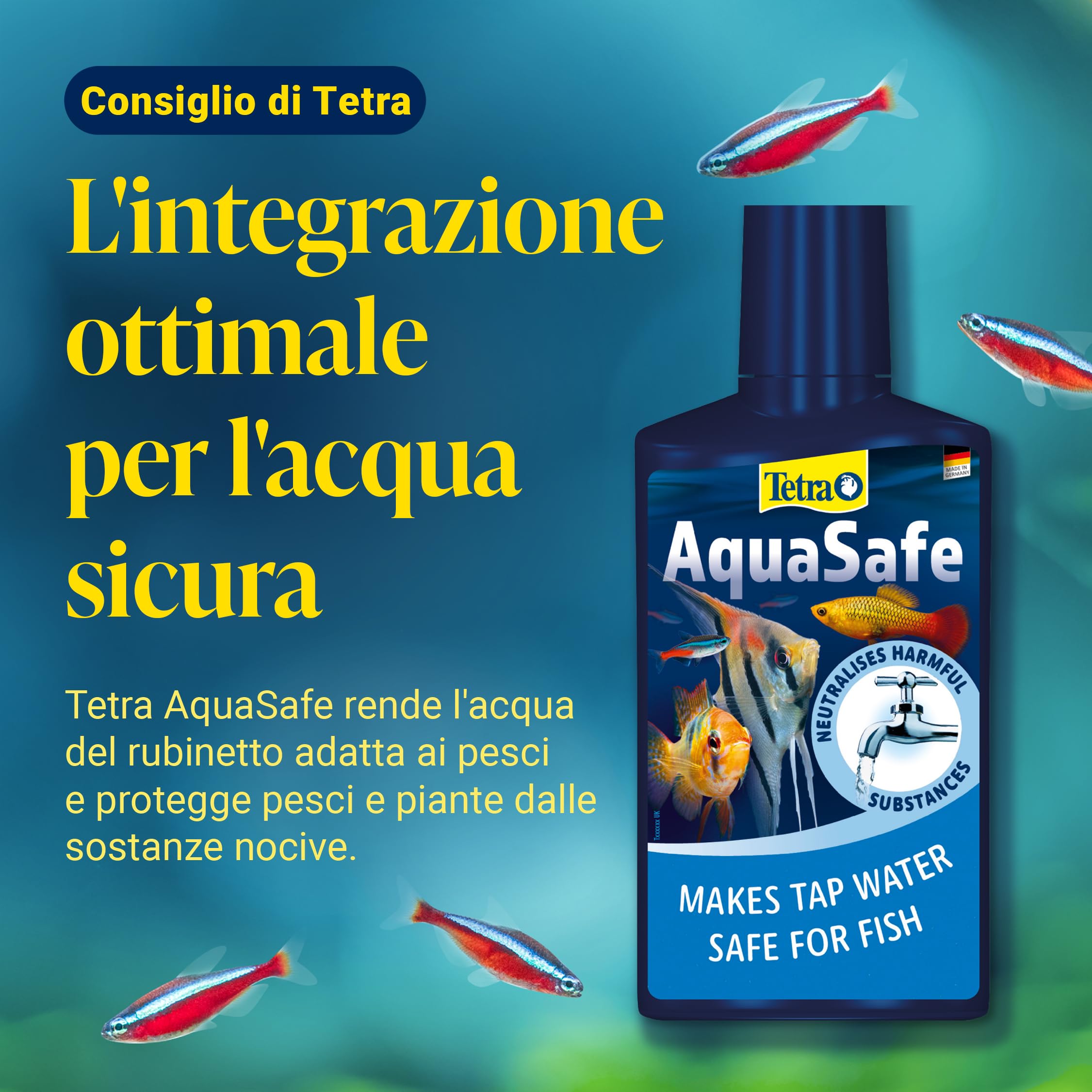 Tetra FilterActive 250 ml Contiene Batteri Vivi che Attivano il Filtro e che Riducono l'Accumulo di Impurità, Mantiene il Filtro Biologicamente Attivo